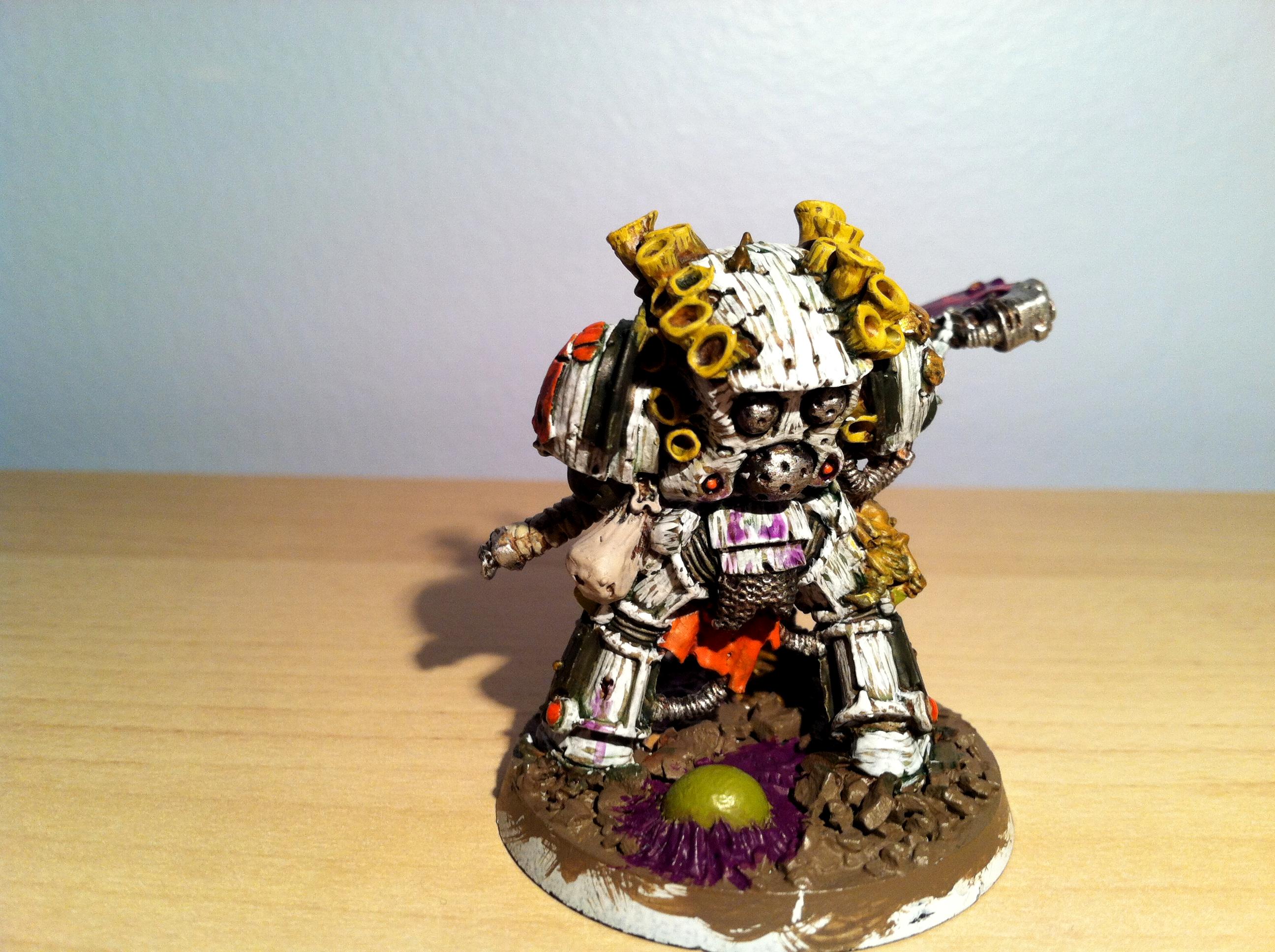 WIP Typhus 2