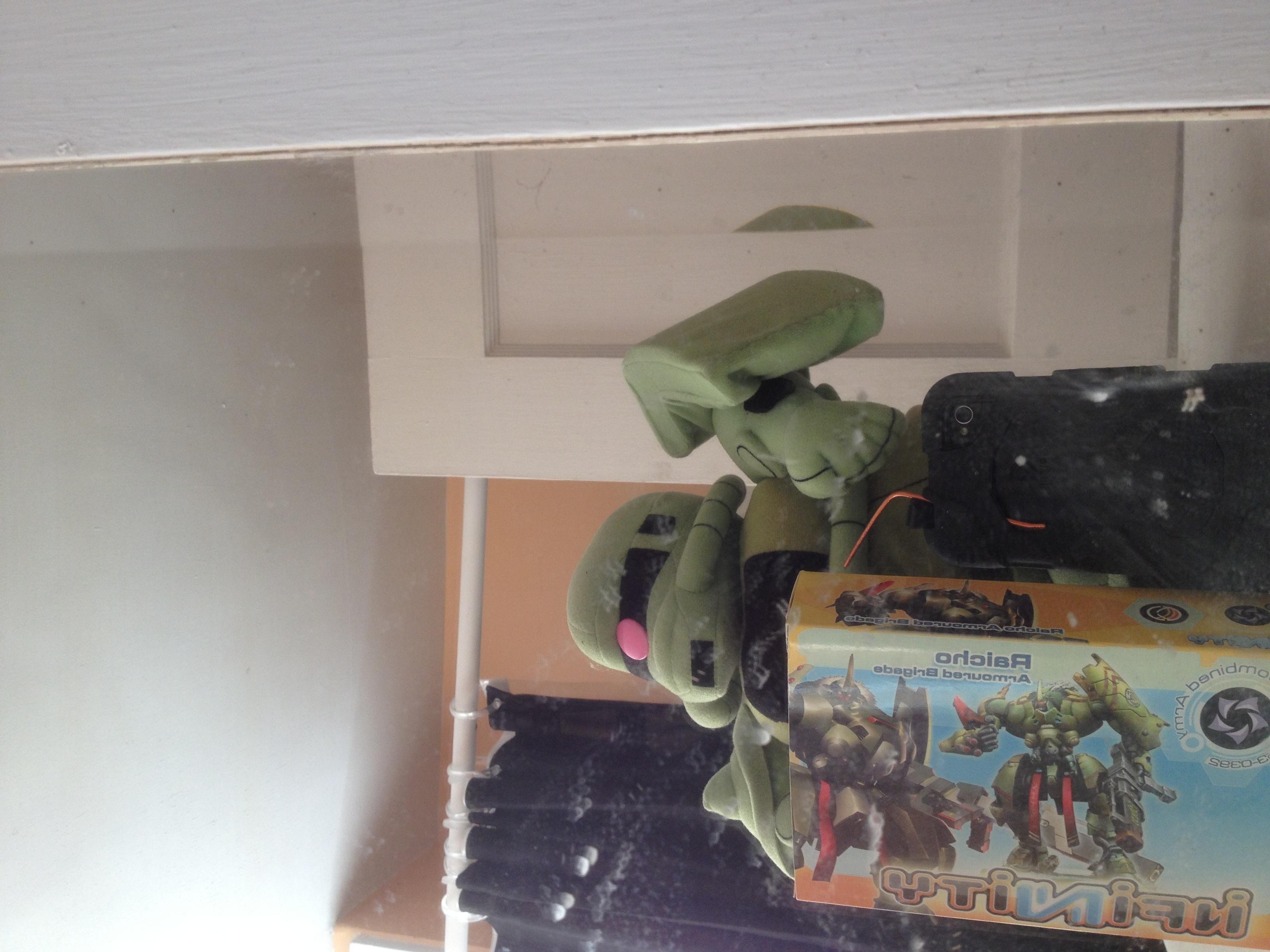 "Duckface" Raicho Image for Infinity Forum