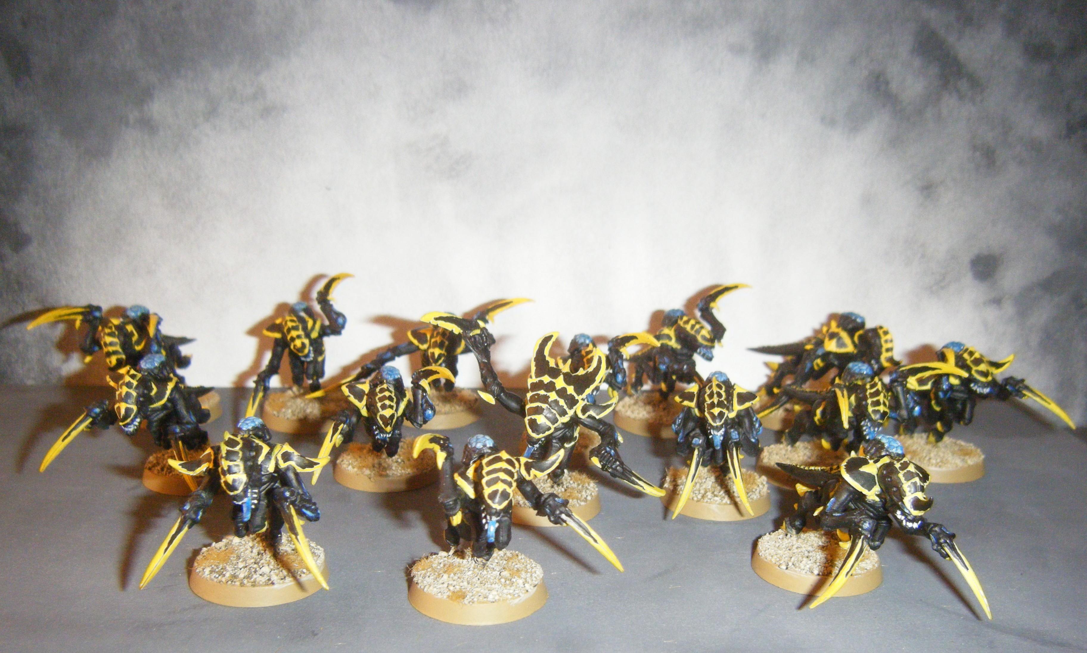 Adretox, Gaunts, Hormagaunts, Wasp