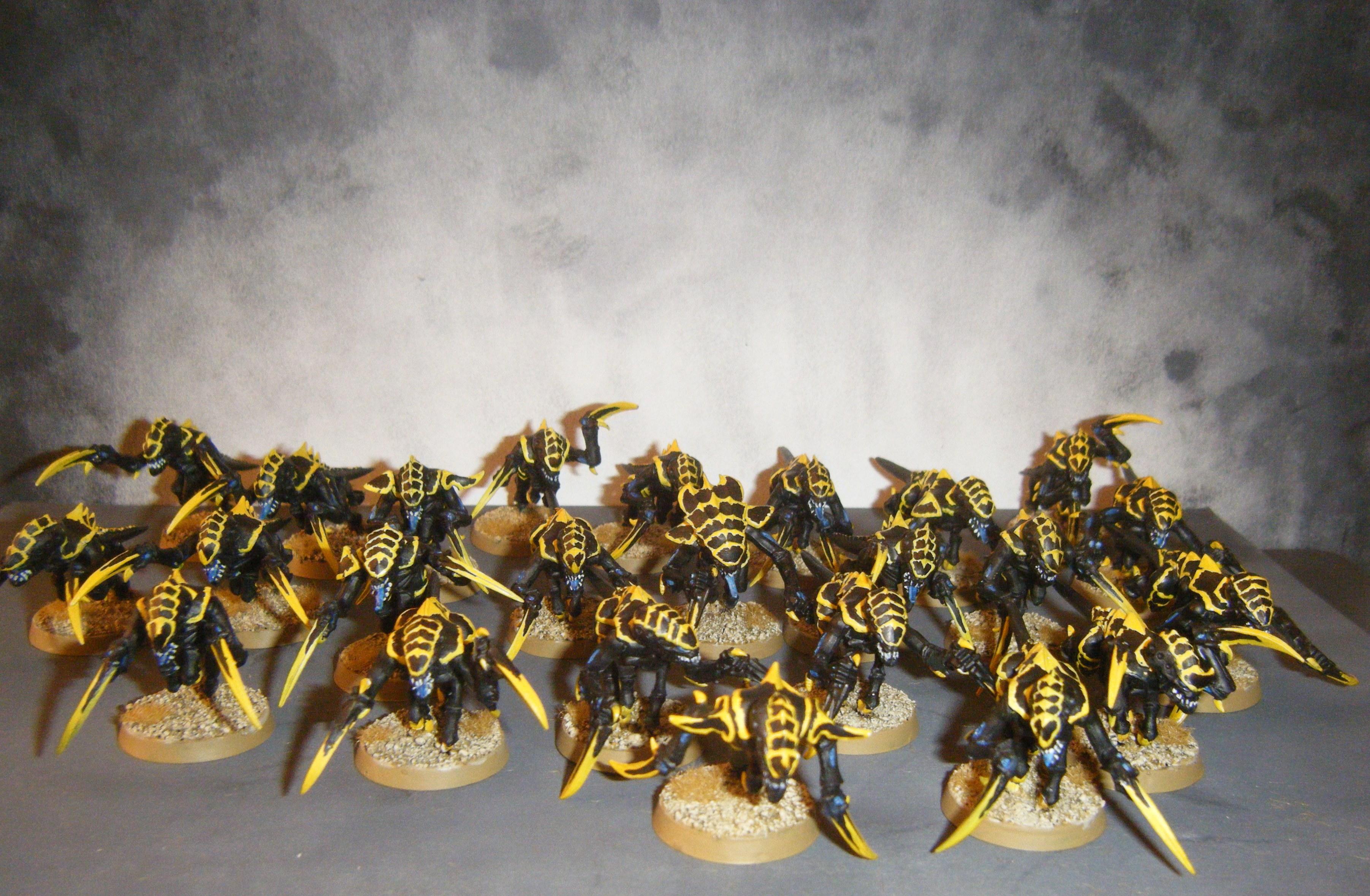 Gaunts, Hormagaunts, Wasp