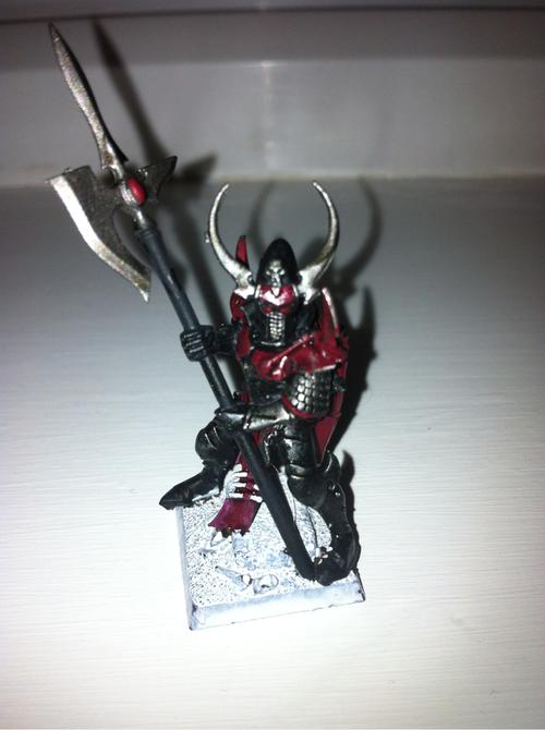 Dark Elf Black Guard Conversion 1