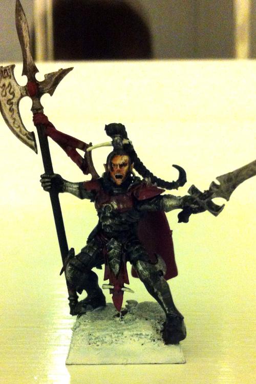 Dark Elf Black Guard Tower Master Conversion