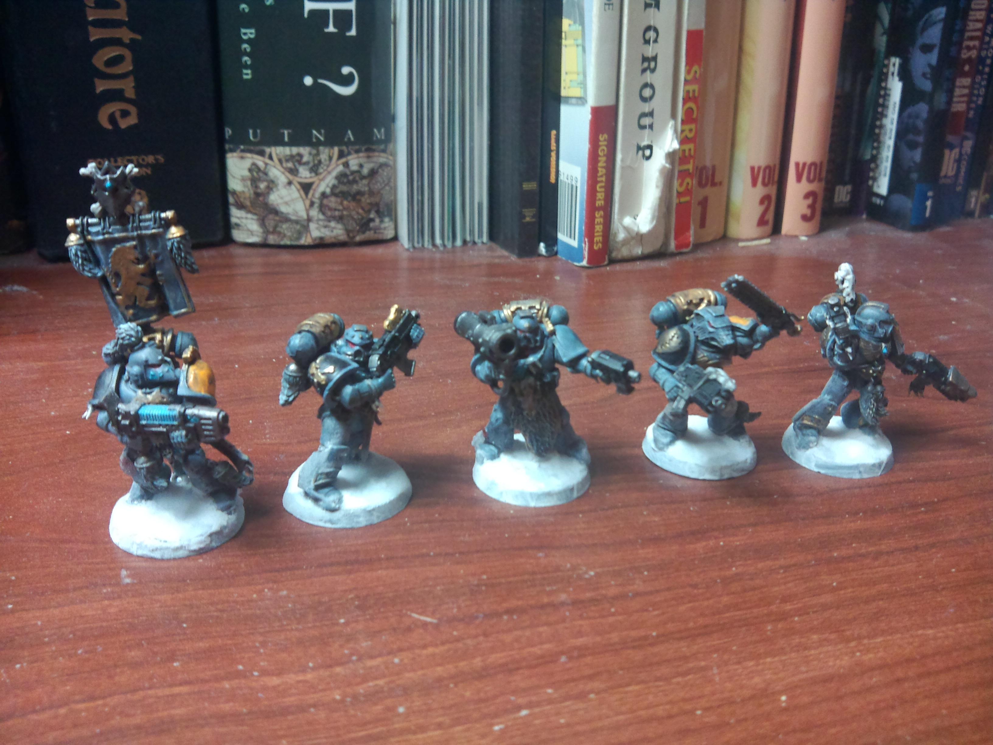 Astartes, Firstborn, Imperial, Space Marines, Space Wolves
