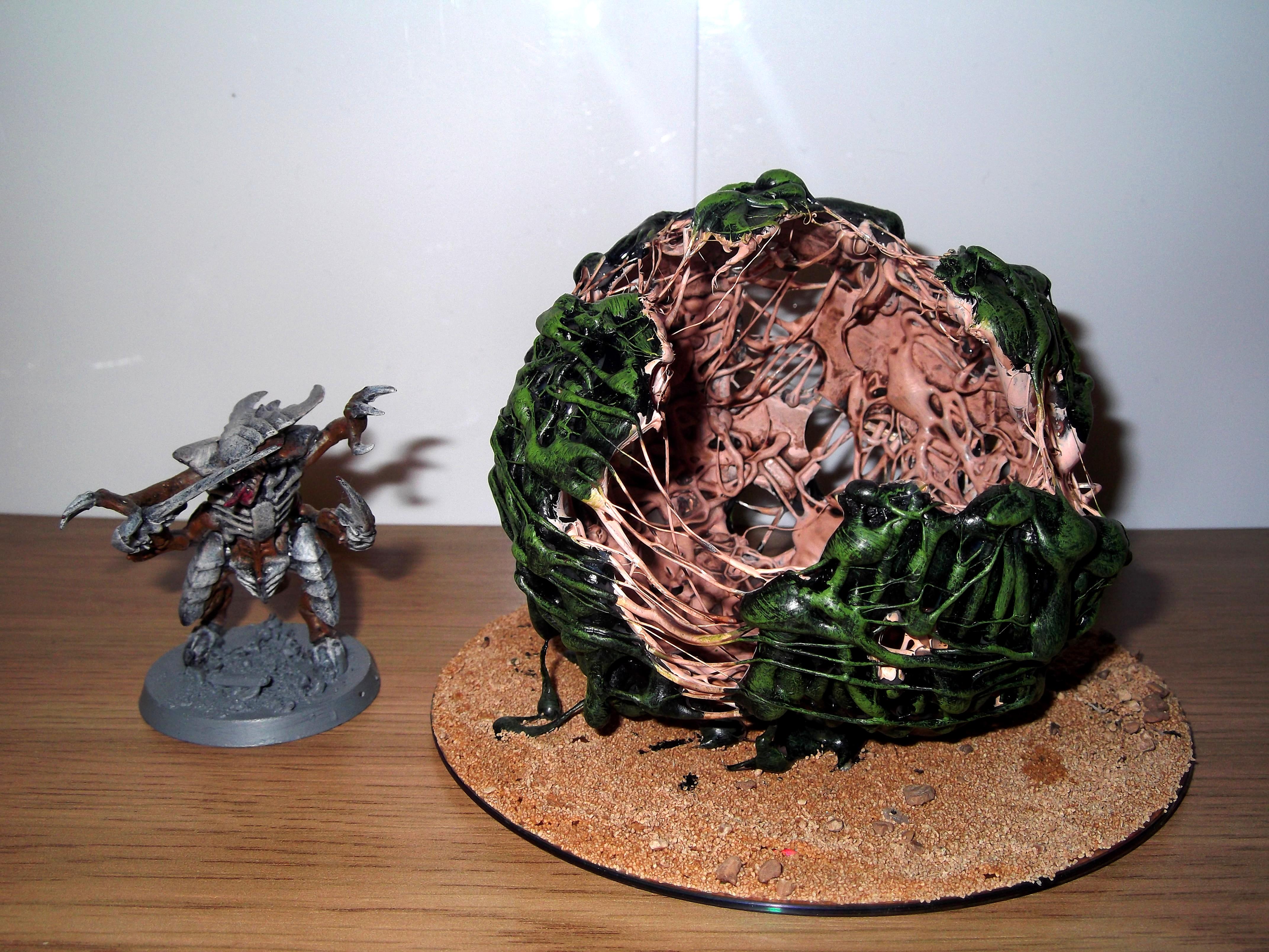 Spore2