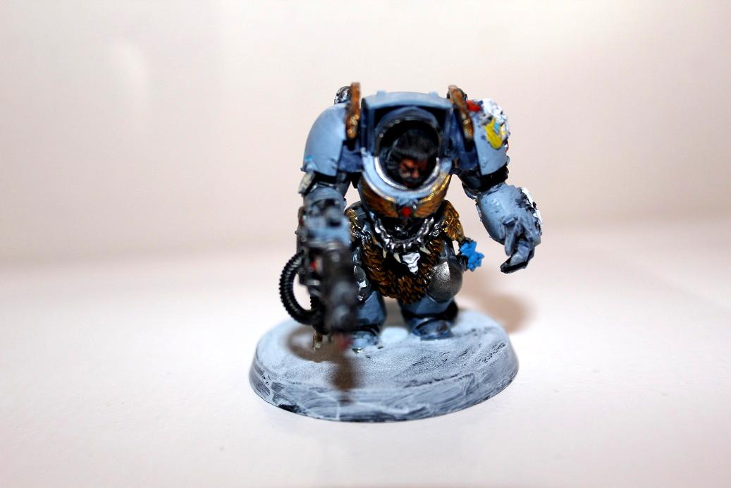 space wolf term