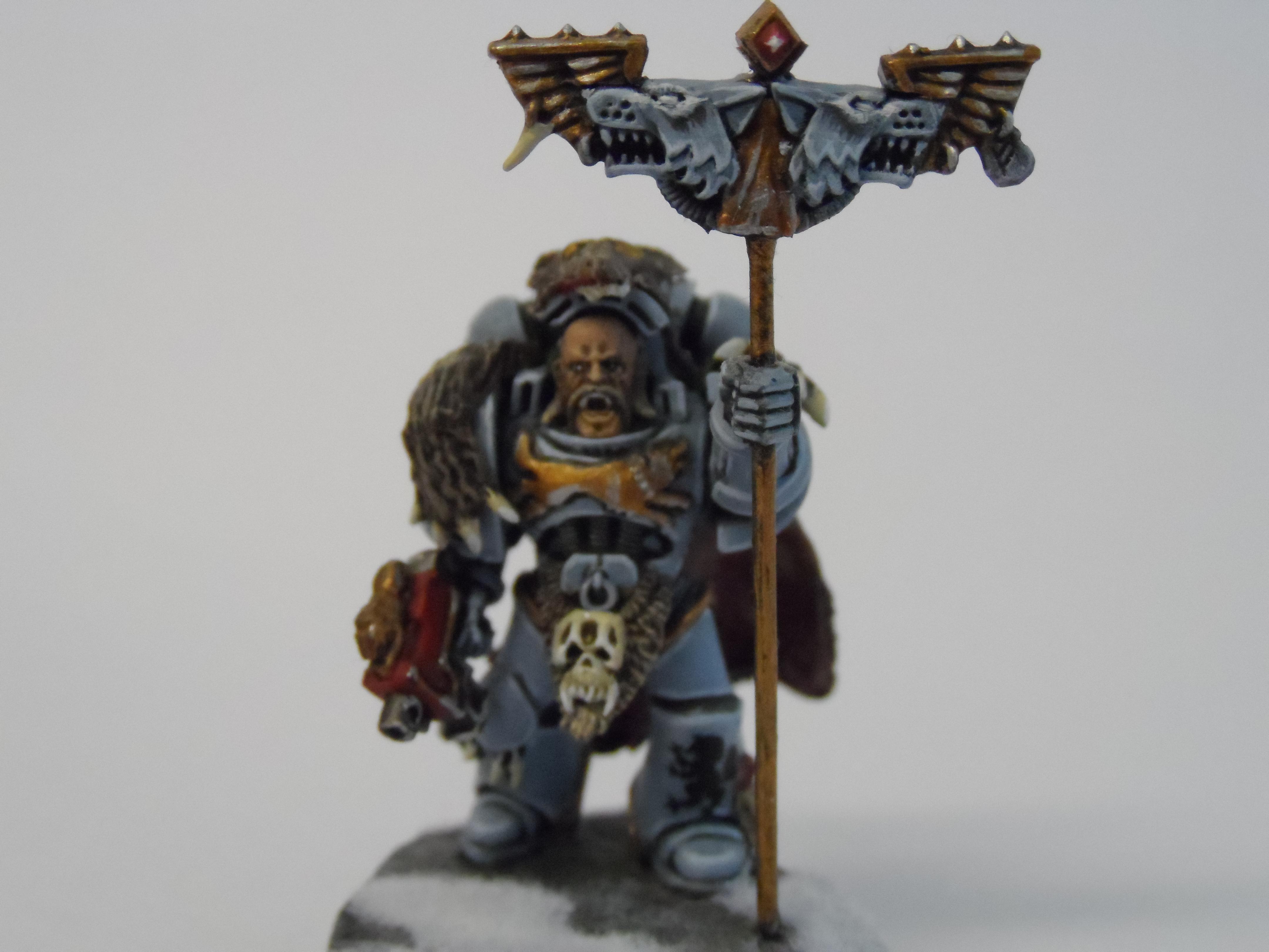 Rune priest based on the pic in the codex