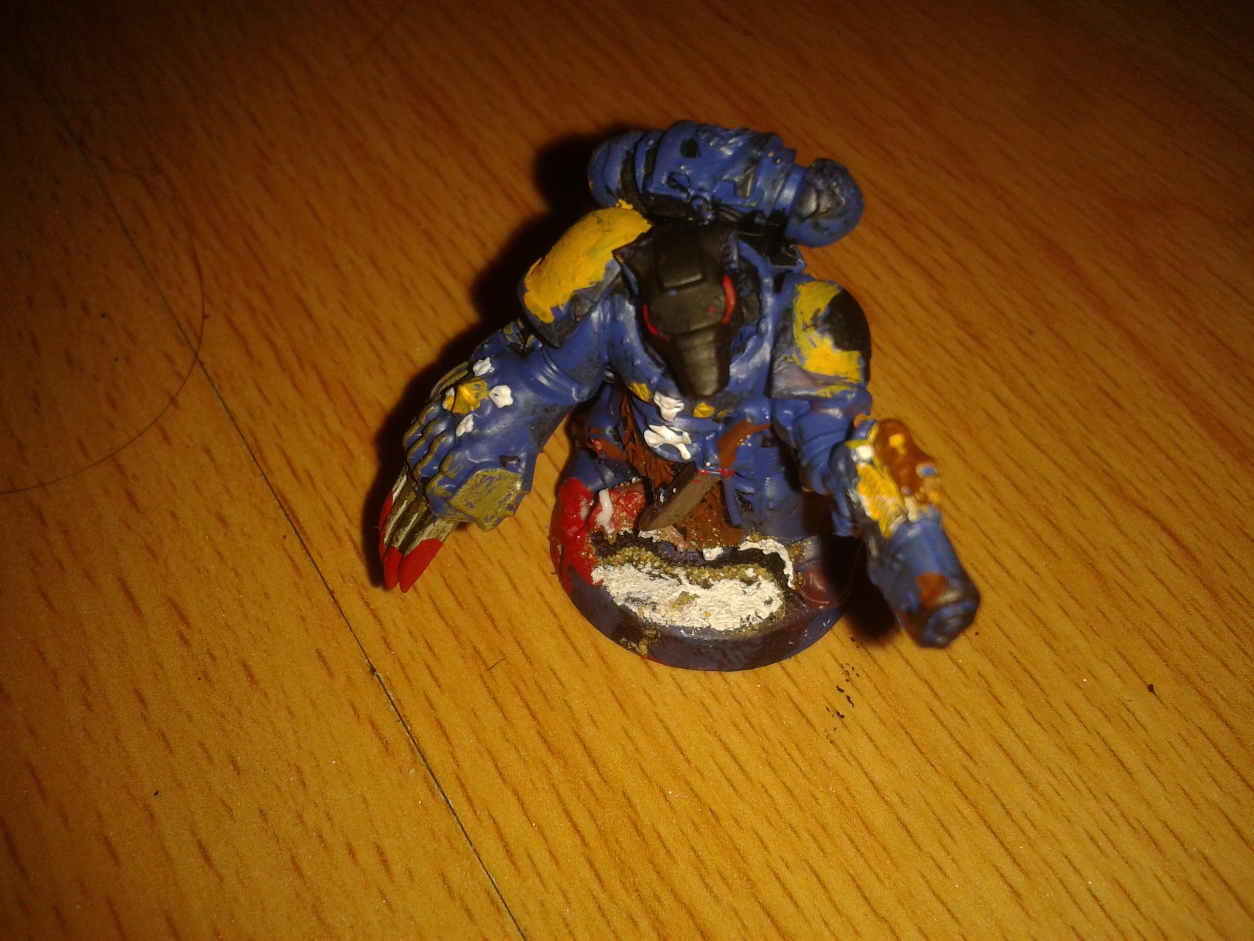 the lone wolf who leads the allied contingent