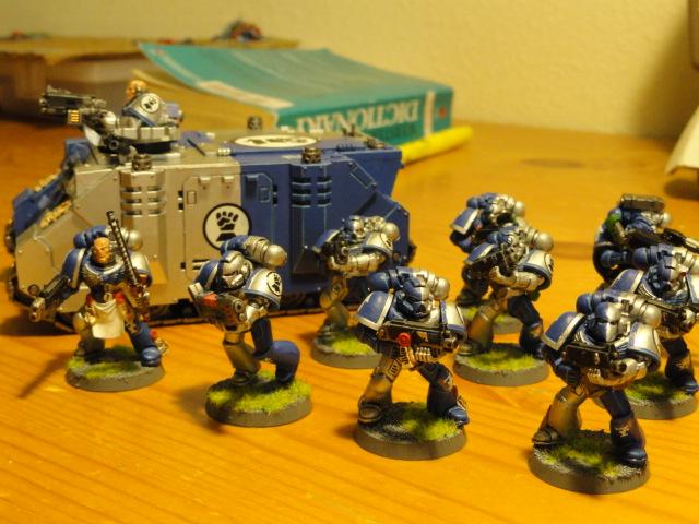 Tactical Marines