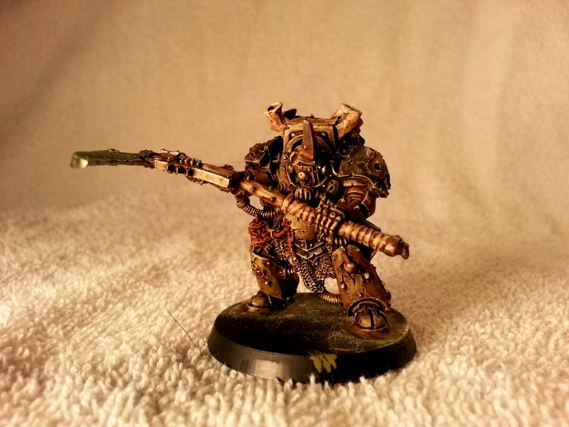 Typhus