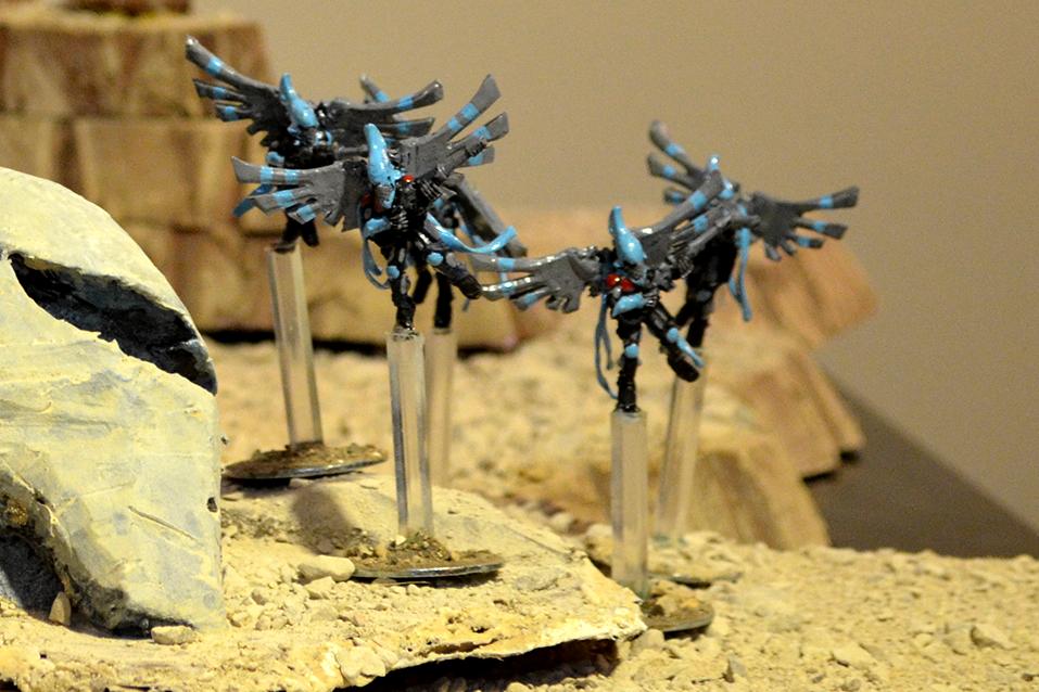 Swooping Hawks