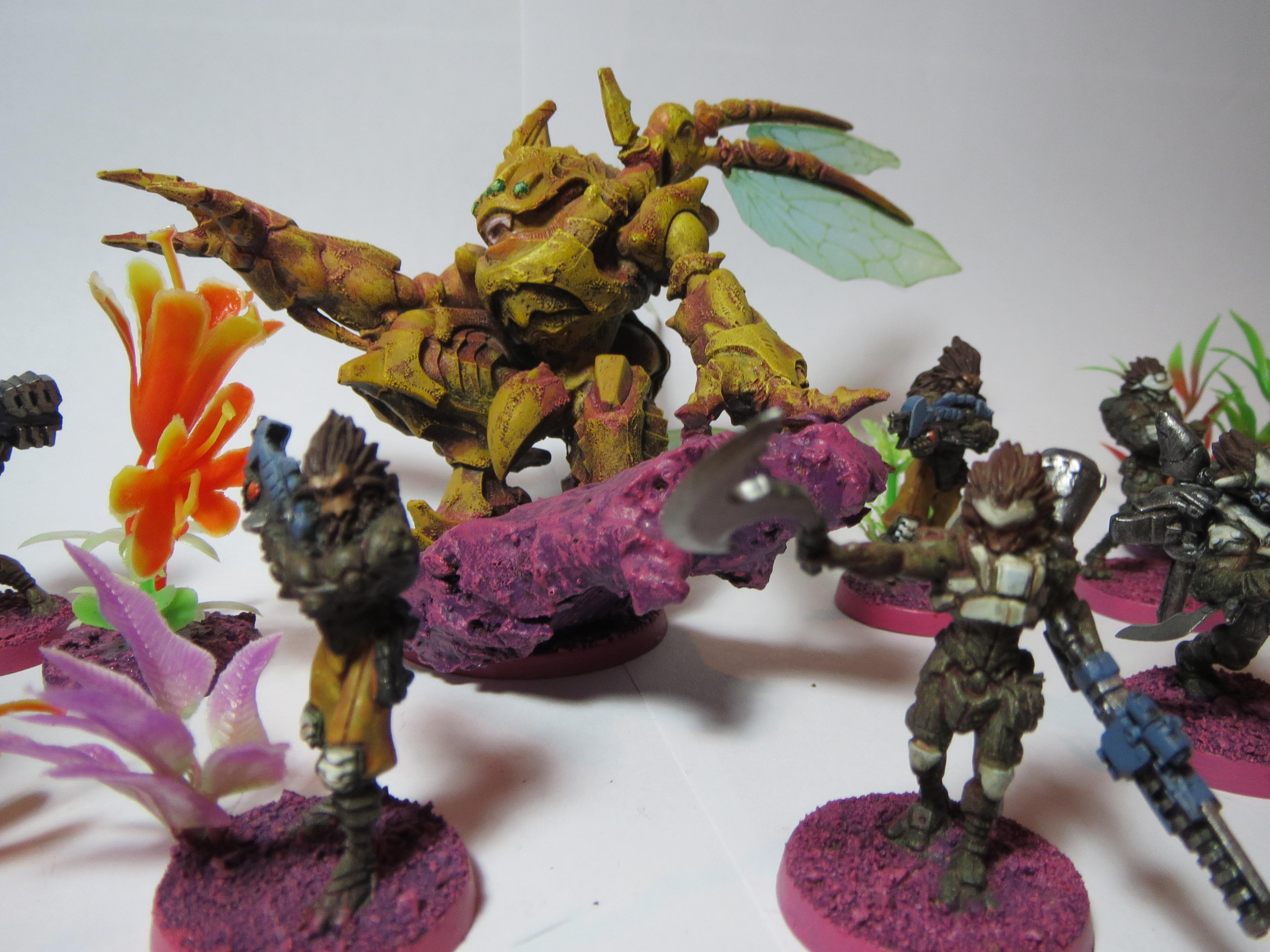 Infinity Combined Army