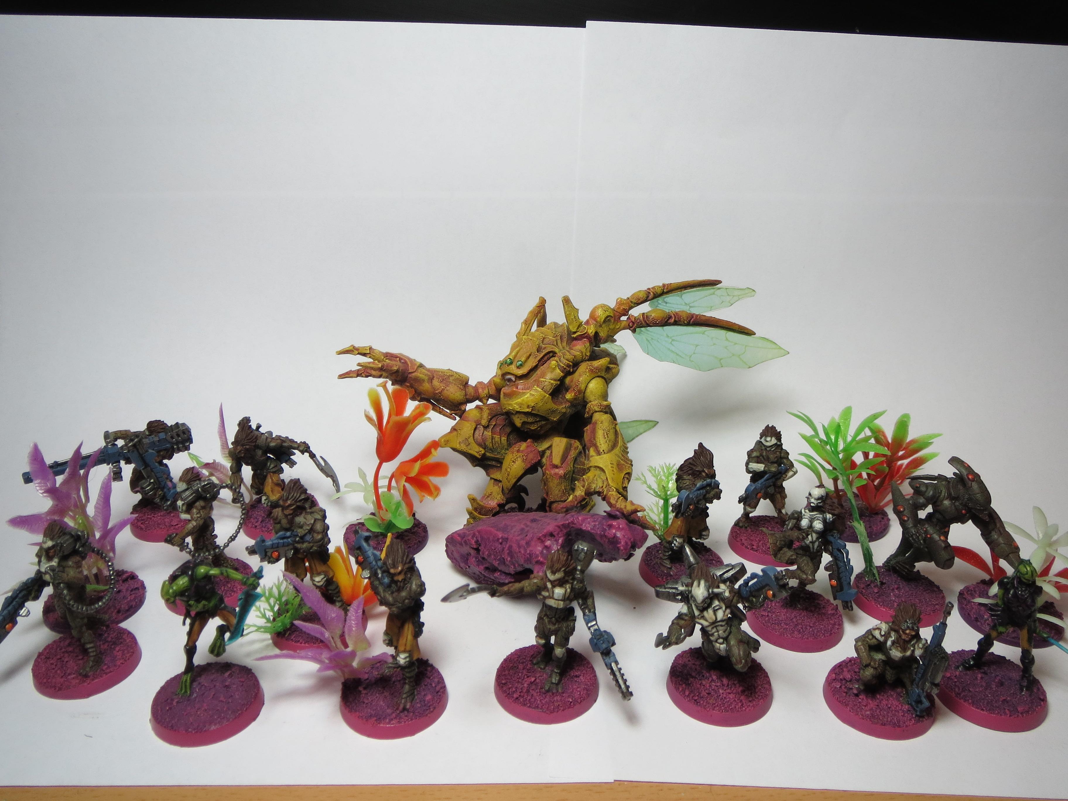 Infinity Combined Army Morats and TAG