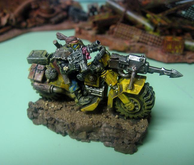 Ash Waste raider