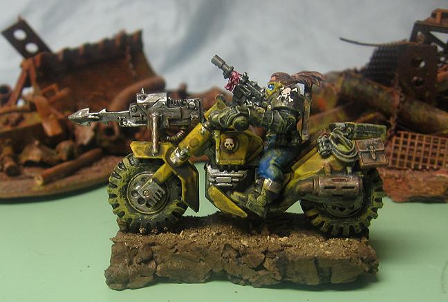 Ash Waste raider