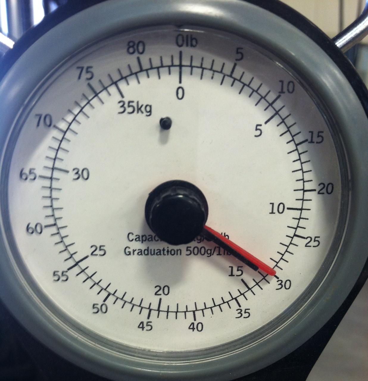 final weight