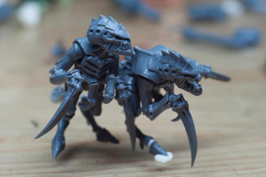 Hormagaunts, Tyranids