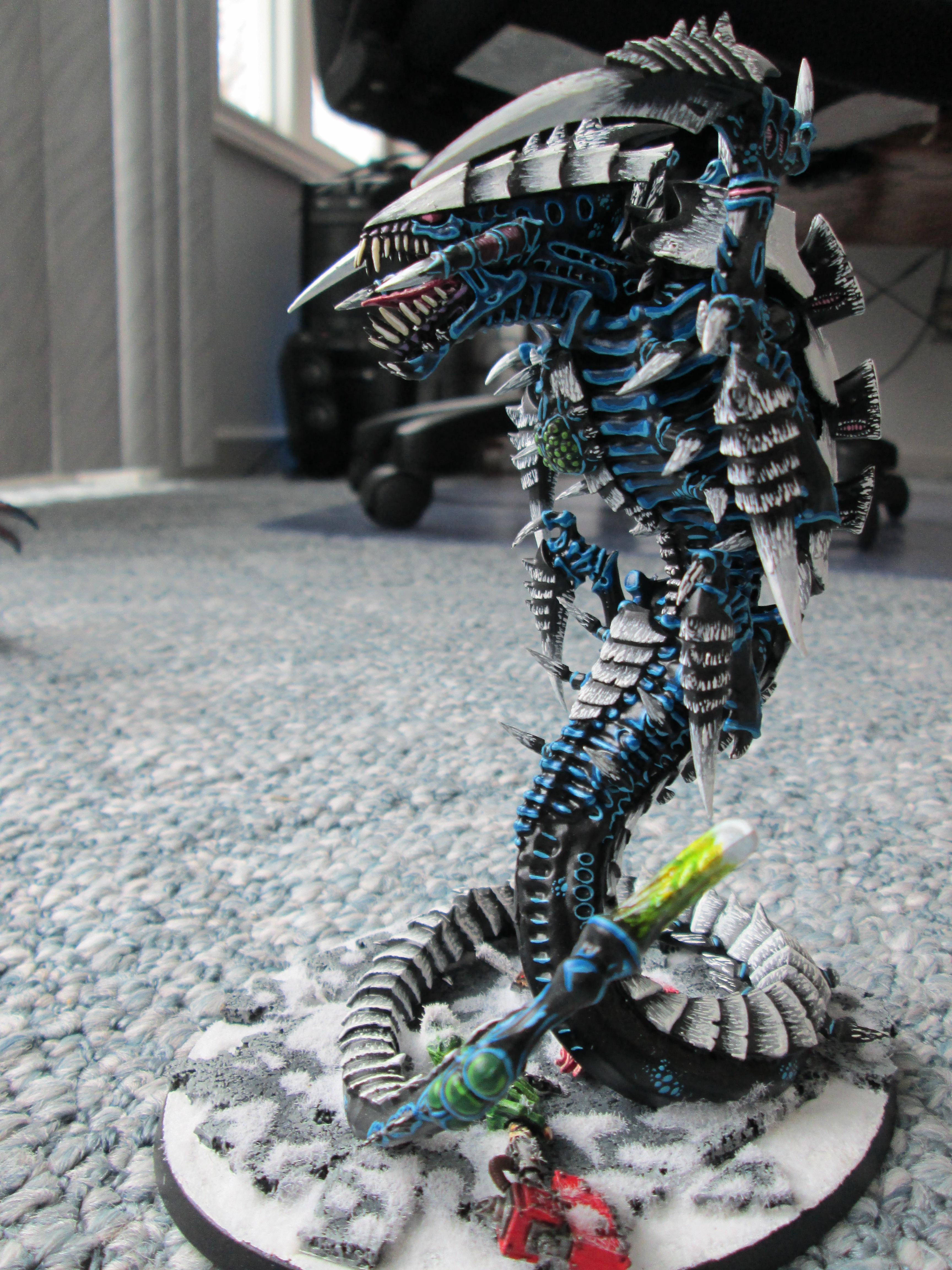 Trygon