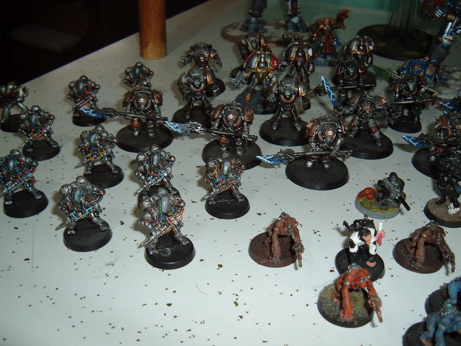 Grey Knights, Rogue Trader
