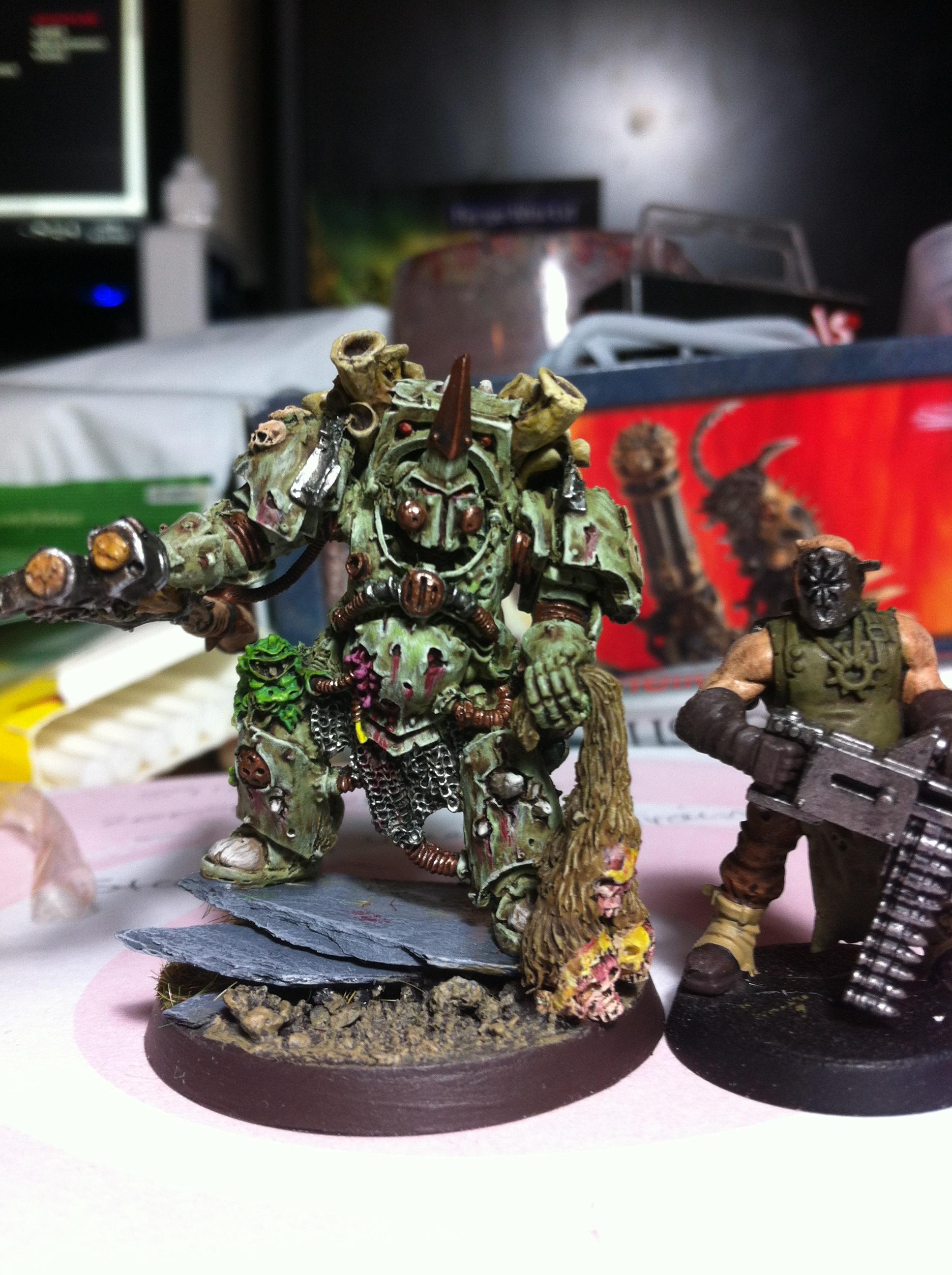 Typhus