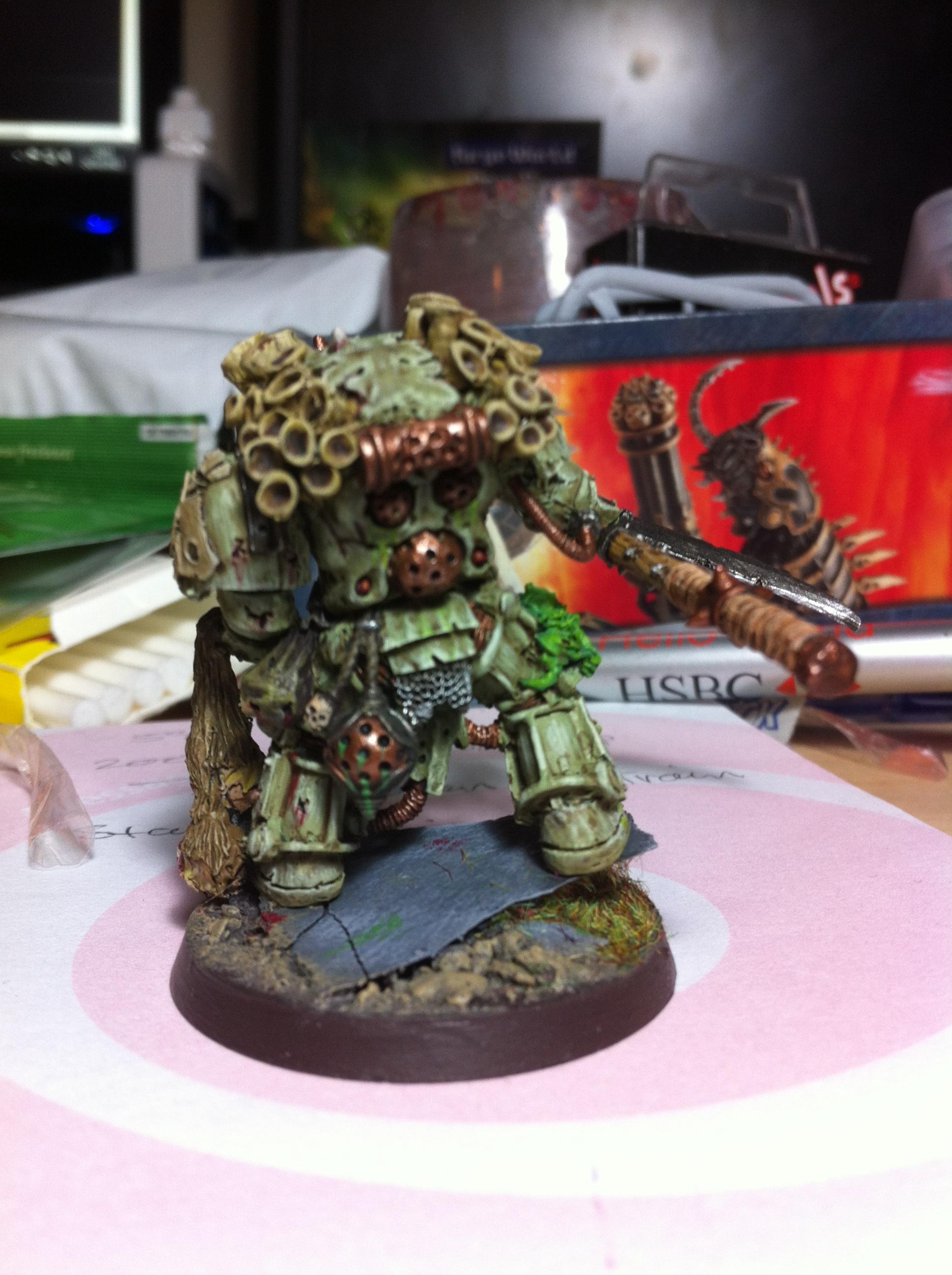 Typhus