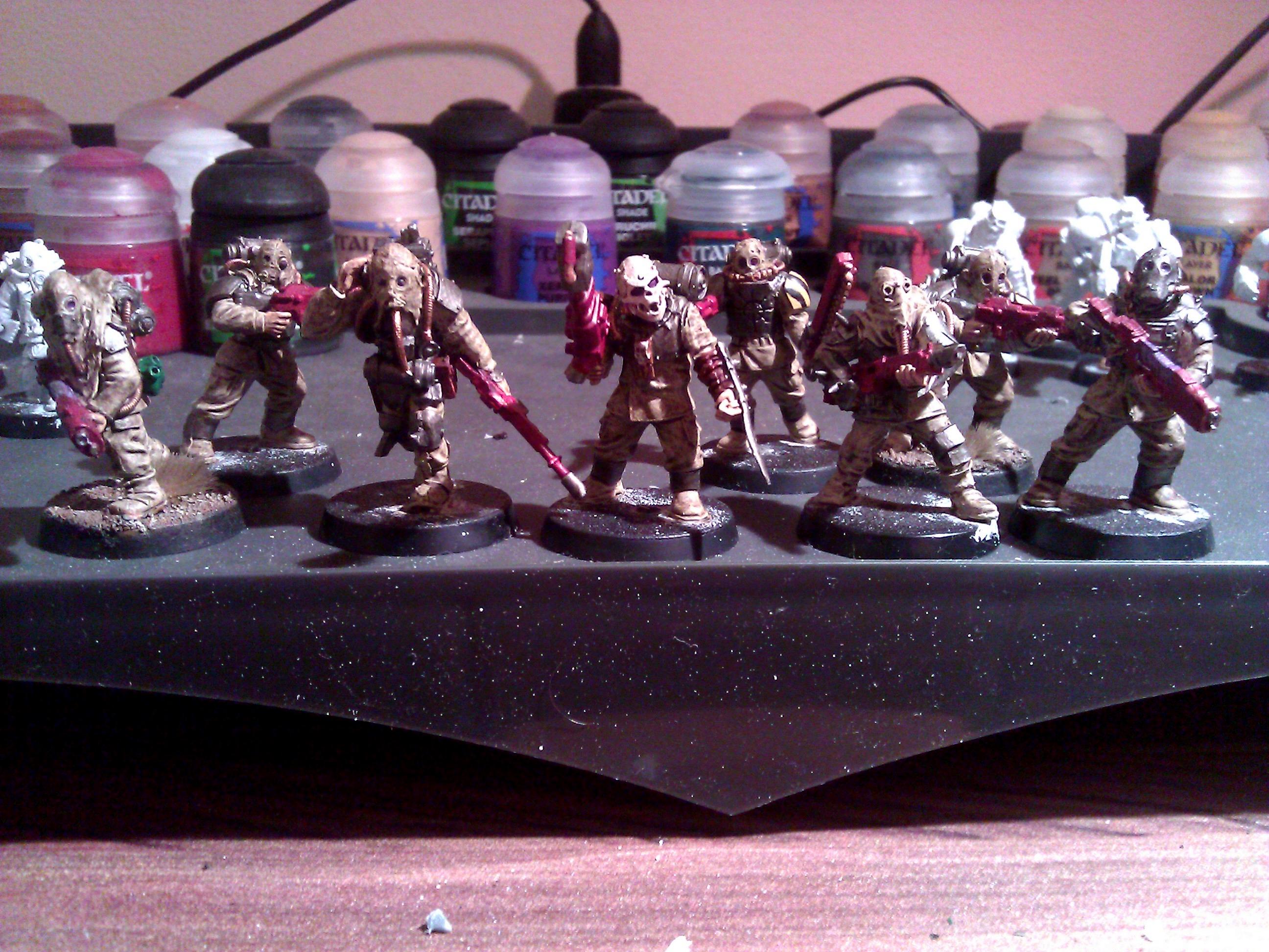 Reng, group shot of models painted so far