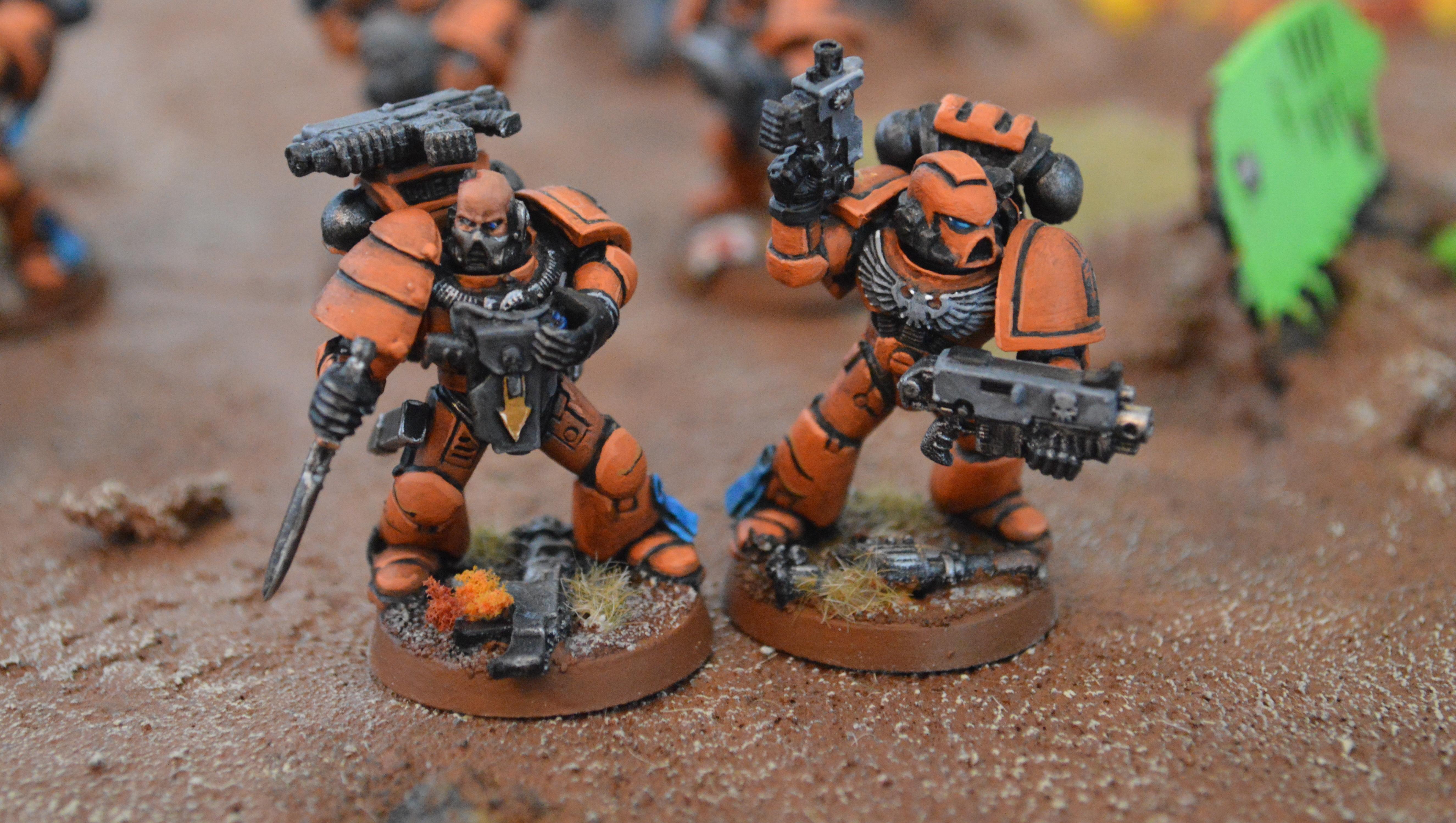 Tiger Claws 2013