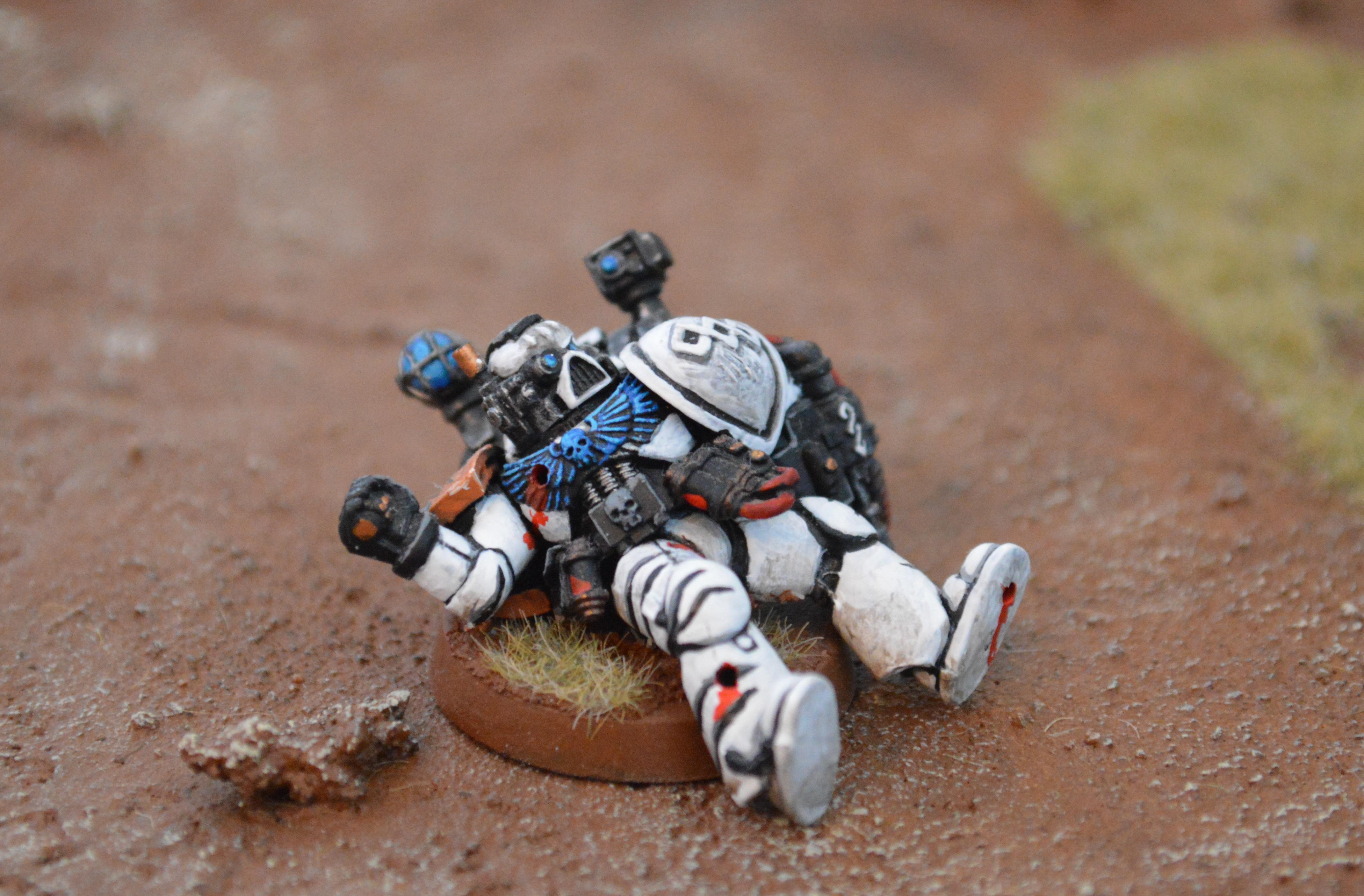 Tiger Claws 2013, Objective