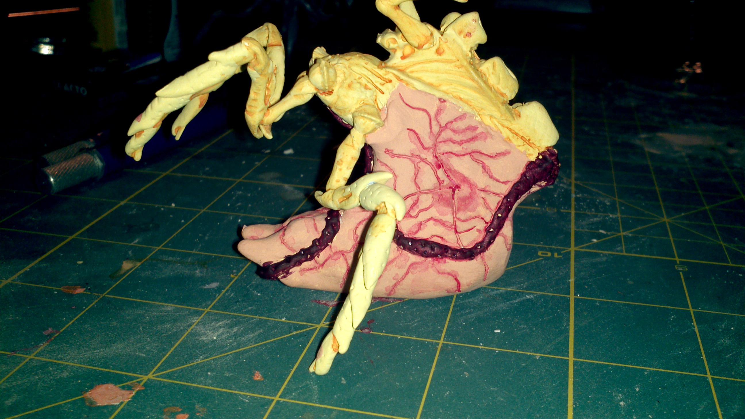 wip Tervy