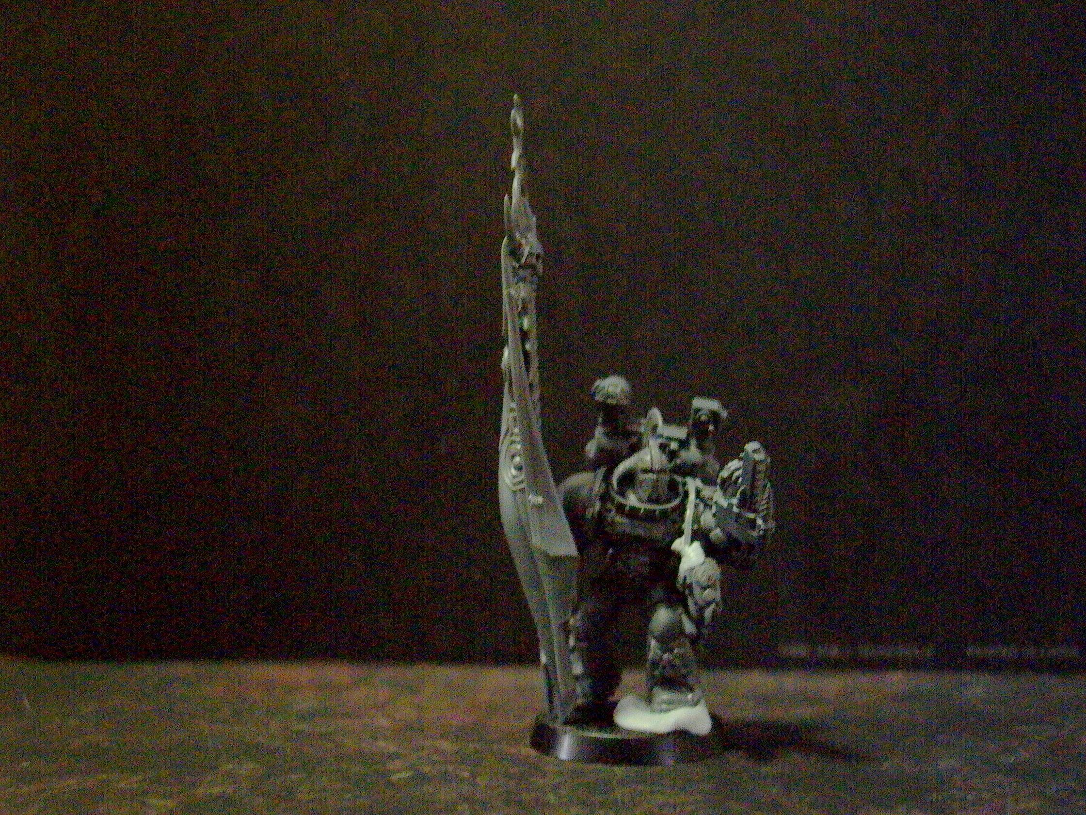 Apothecary/Banner Bearer