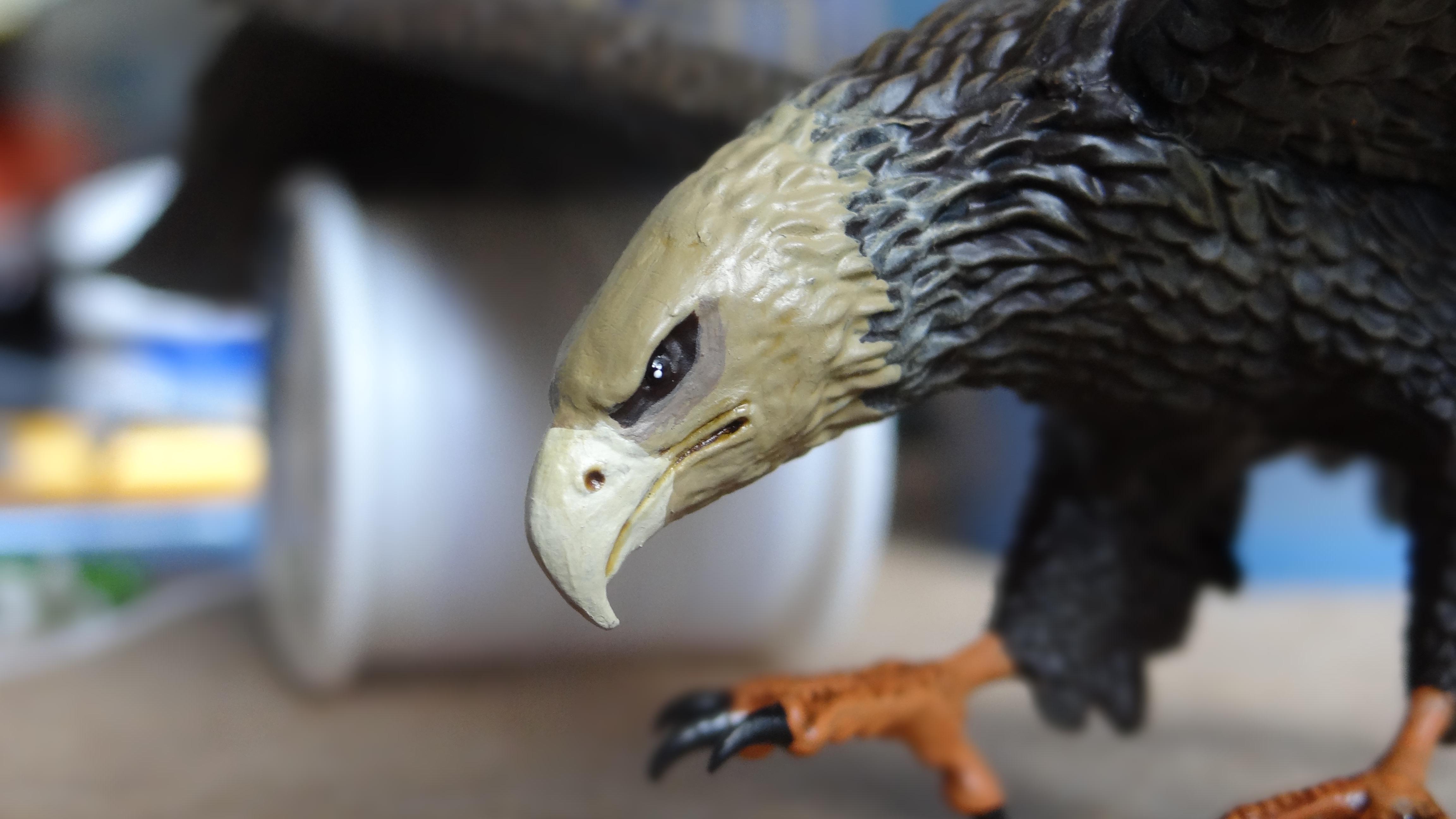 The head of the Eagle, probably the most tedious bit.  