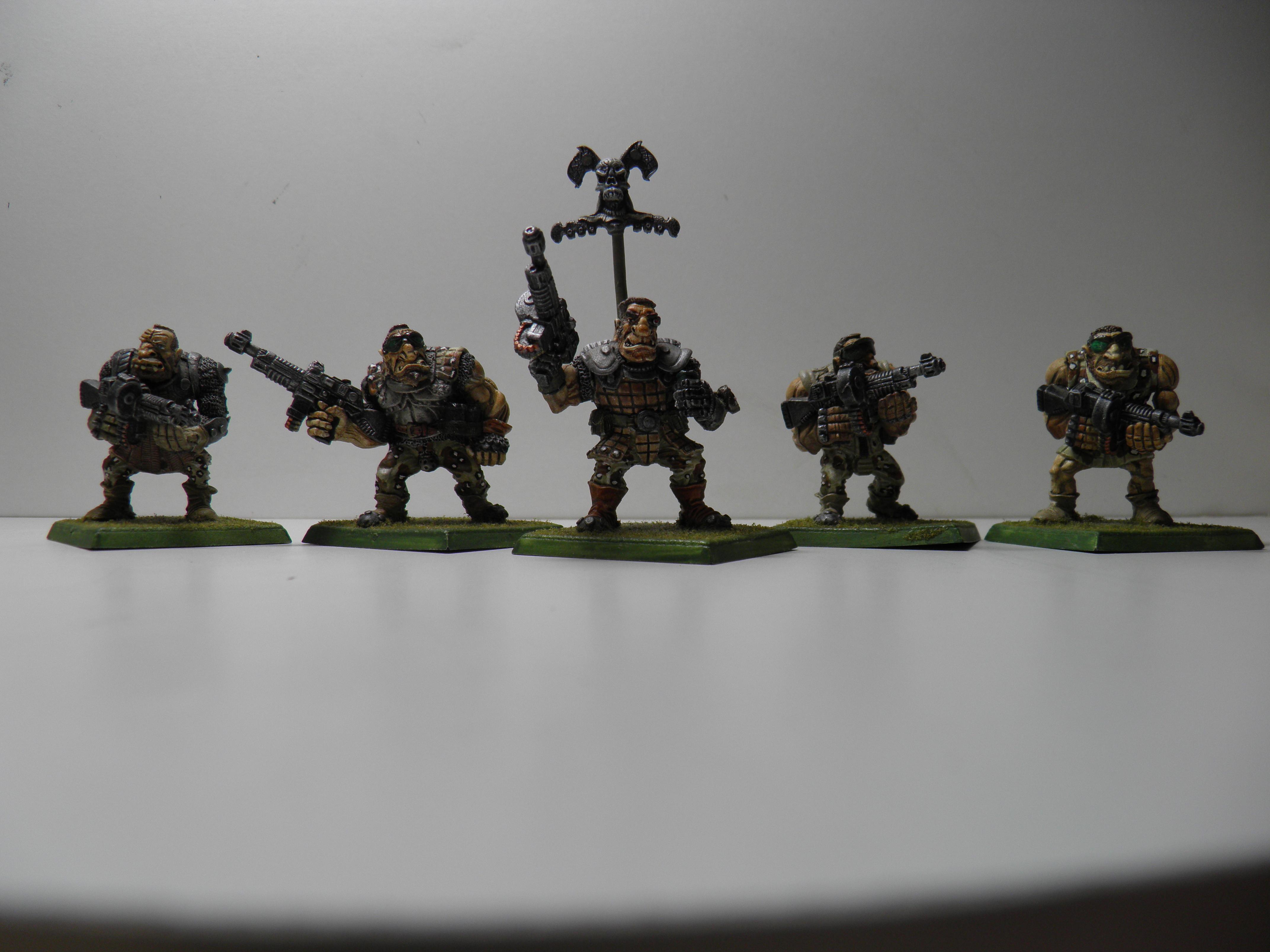 Imperial Guard, Ogryns