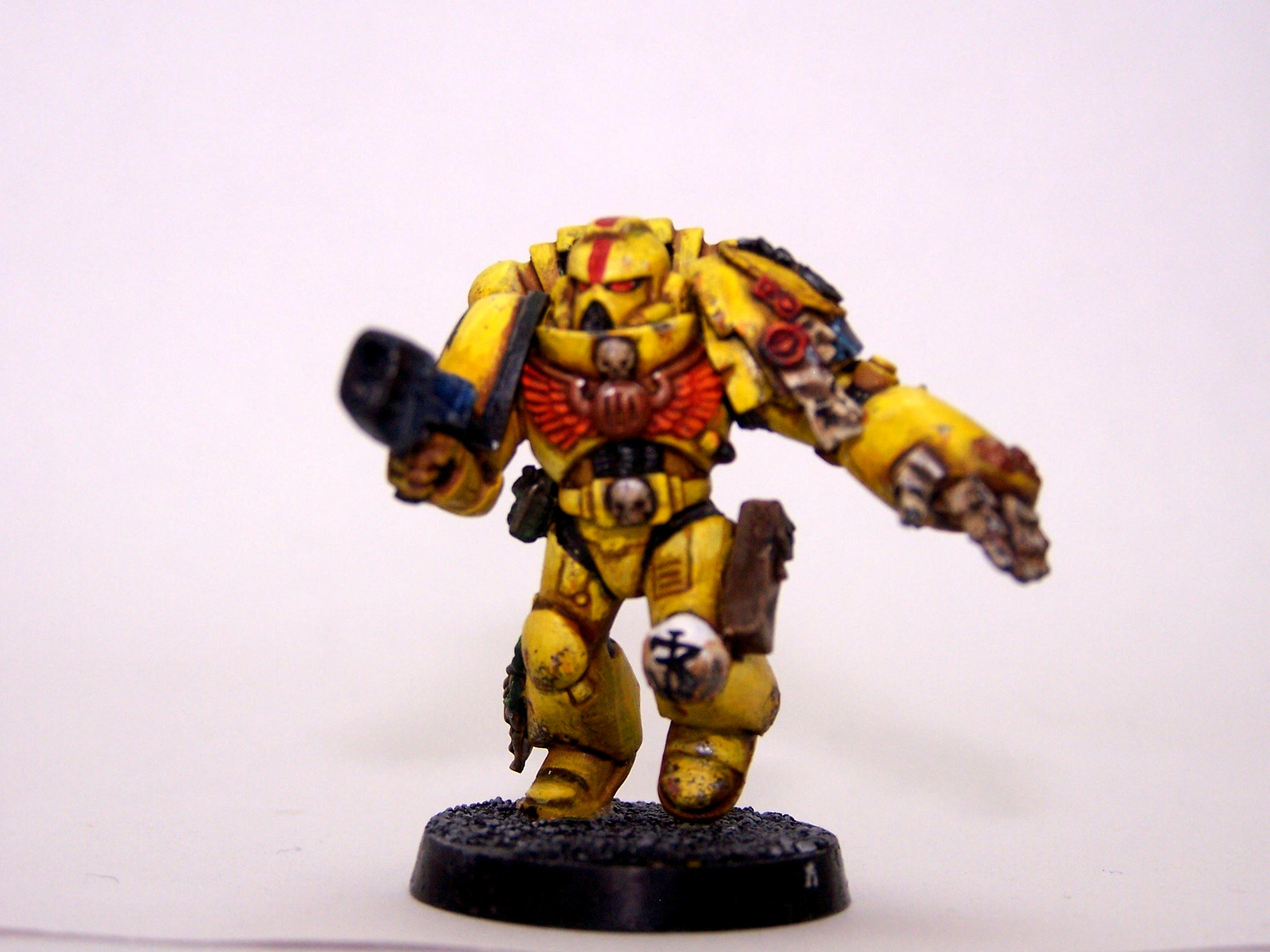 Imperial Fist Sargent Battle Damage