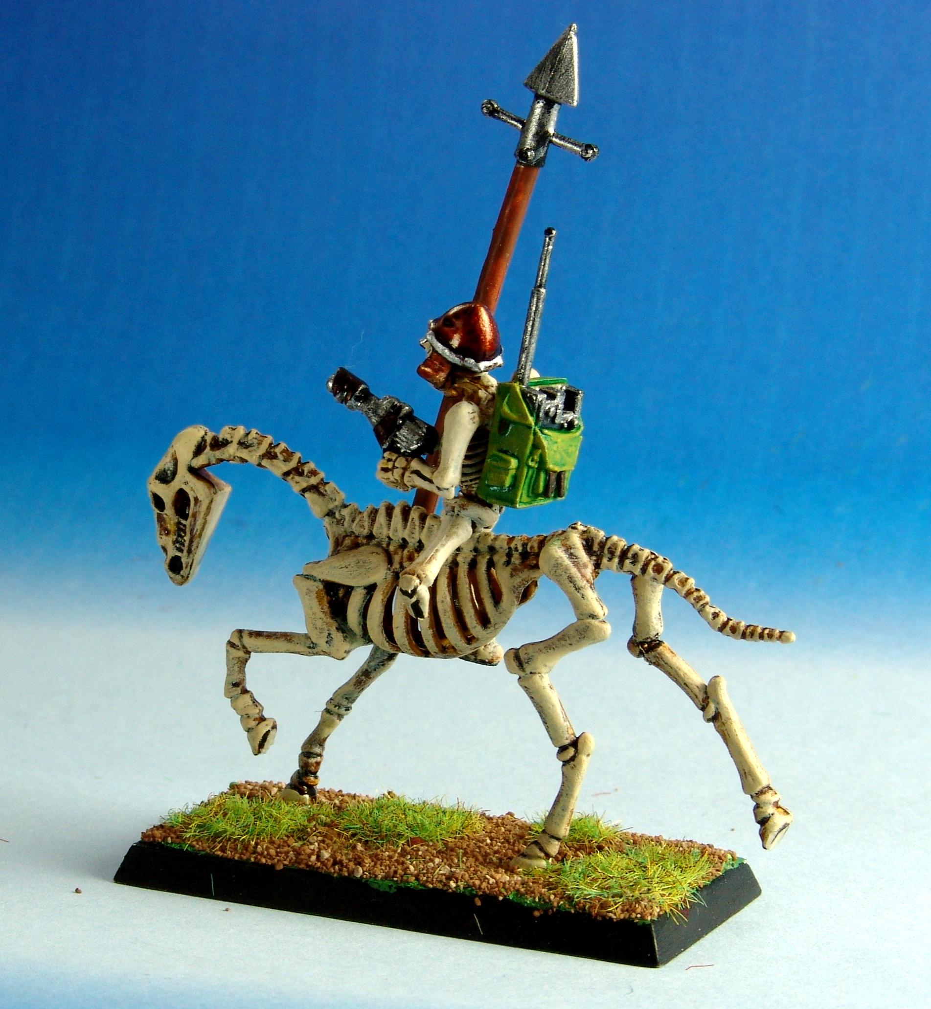 Rough Rider