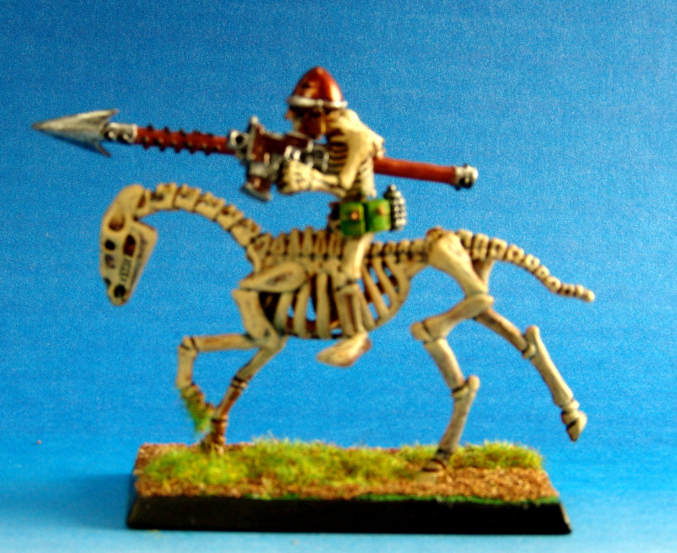 Rough Rider