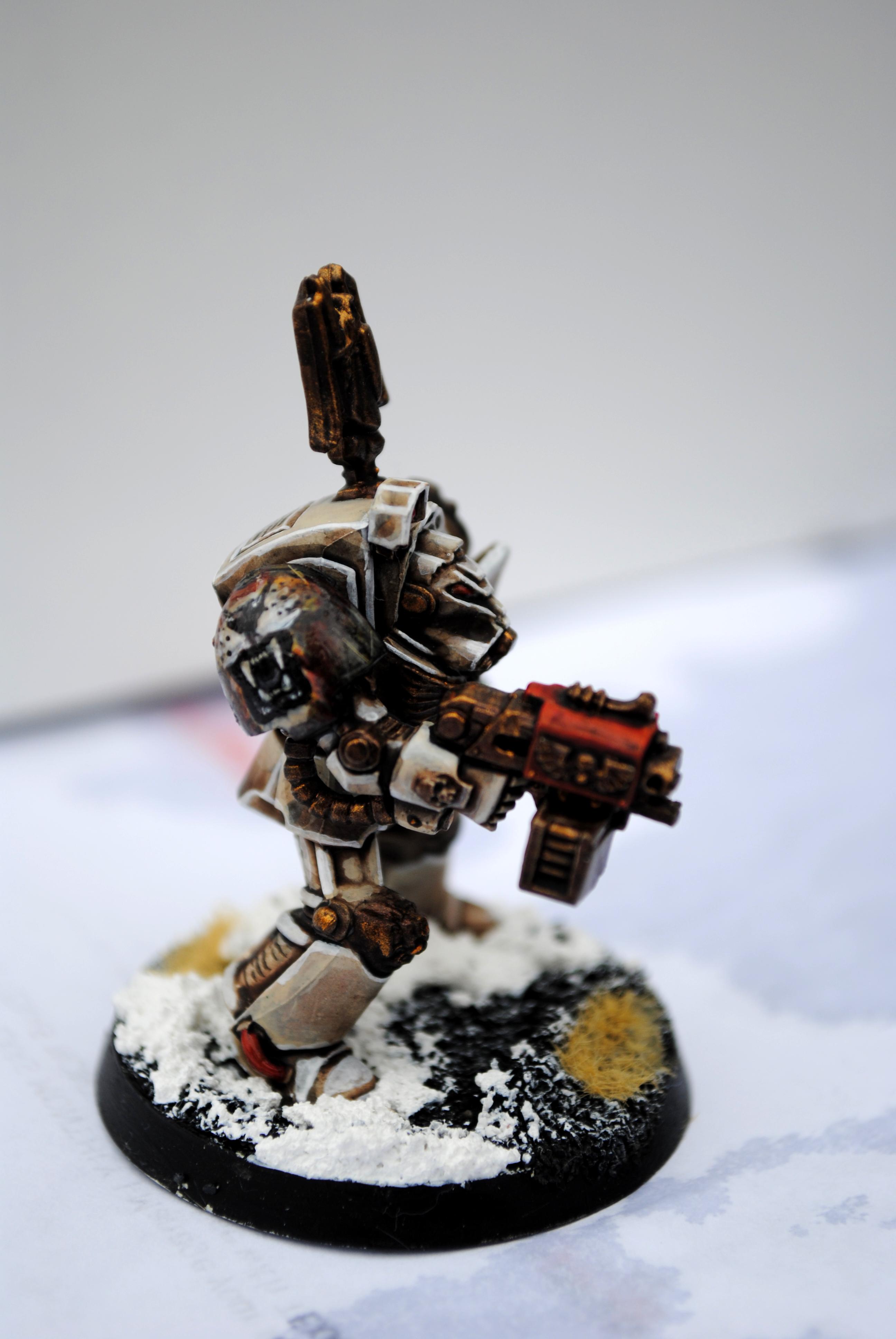 Space Marines, Terminator Armor