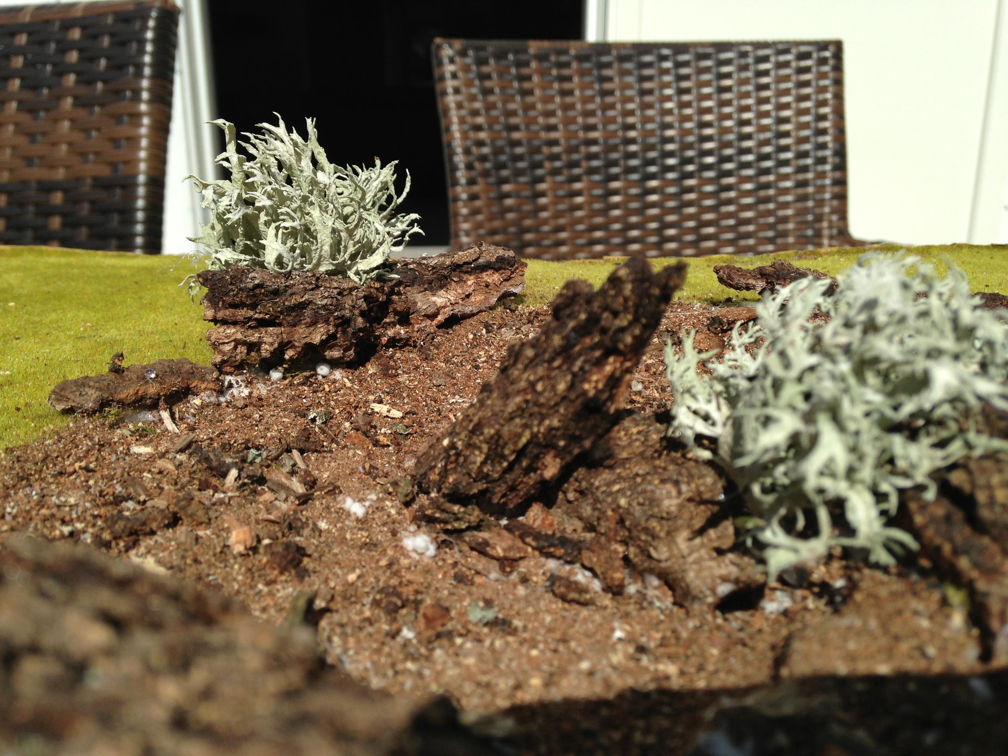 Terrain