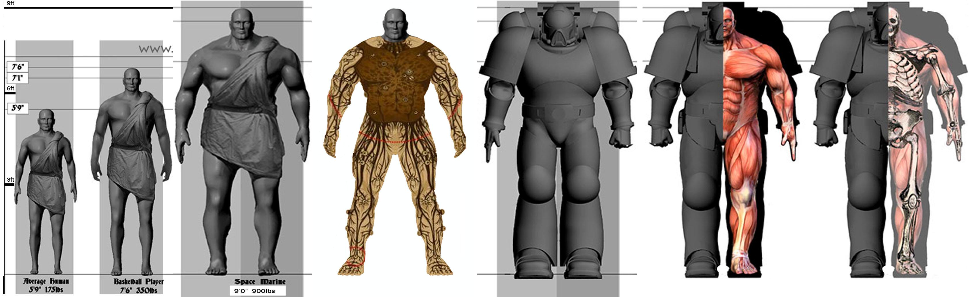 Armor Suit, Army, Astartes, Battlesuit, Bone, Carapace, Dark Angels, Future, Future Man, Giant, Human, Imperium, Man, Military, Muscle, Post Man, Space Marines, Space Suit, Spacemarine, Transhuman, Warhammer 40,000, Warhammer Fantasy