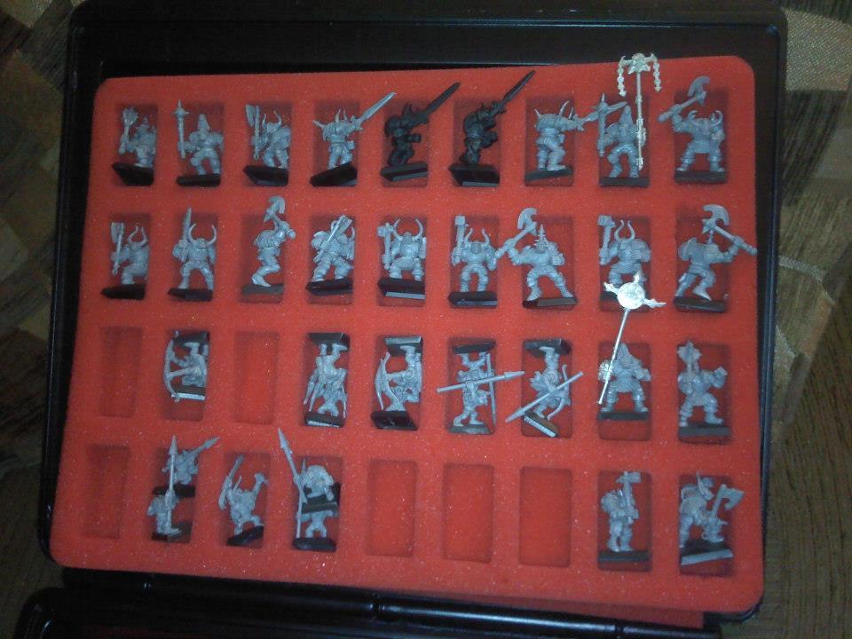 Bretonnians, Chaos, Goblins, High Elves, Lizard, Orcs, Warhammer Fantasy, Wildace