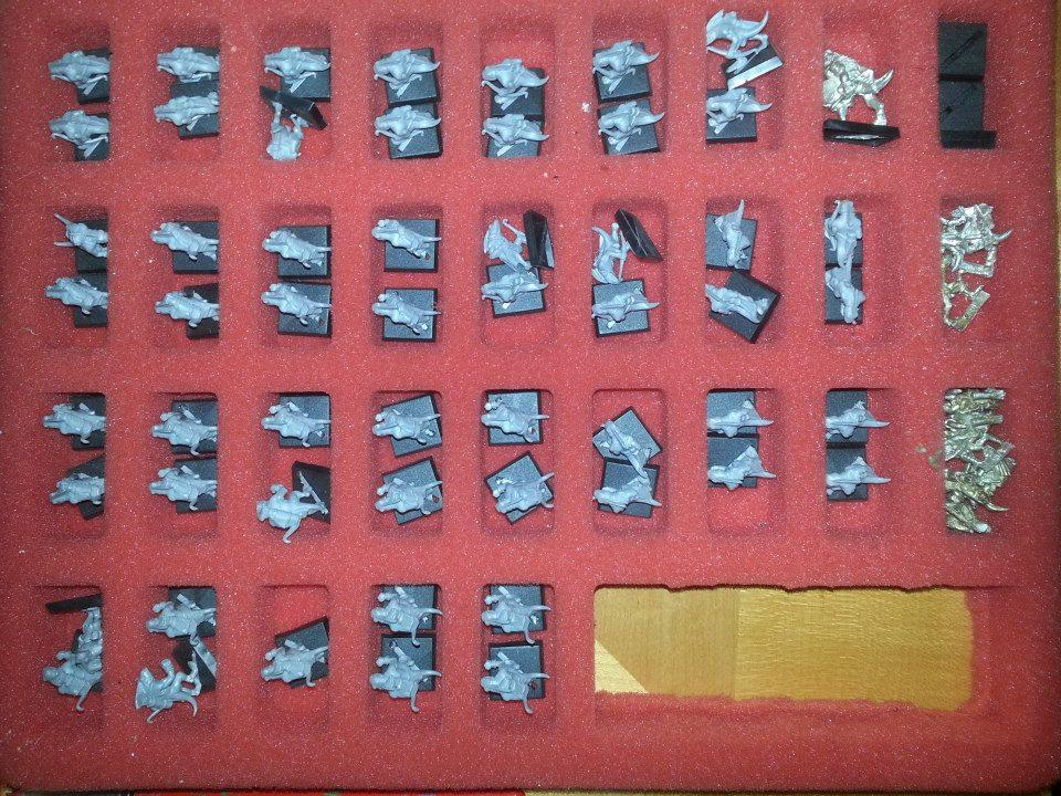 Bretonnians, Chaos, Goblins, High Elves, Lizard, Orcs, Warhammer Fantasy, Wildace