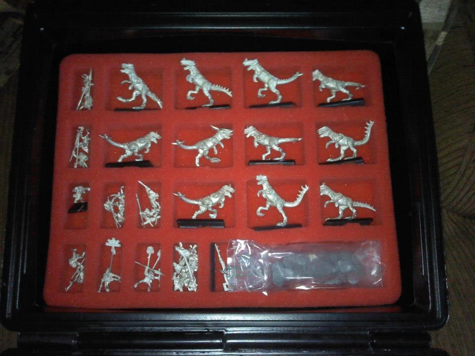 Bretonnians, Chaos, Goblins, High Elves, Lizard, Orcs, Warhammer Fantasy, Wildace