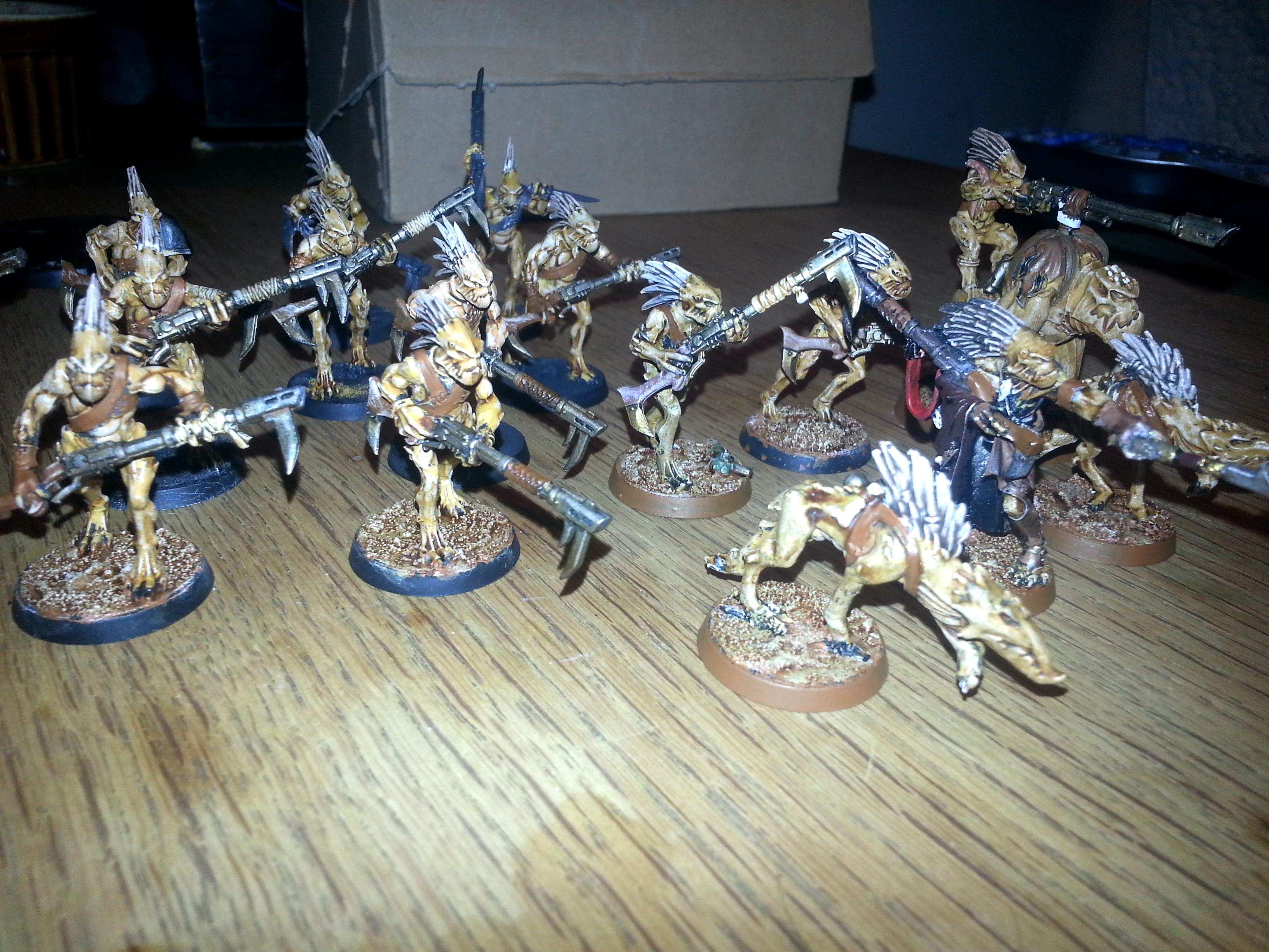 Kroot, Kroot Hounds, Krootox, Tau