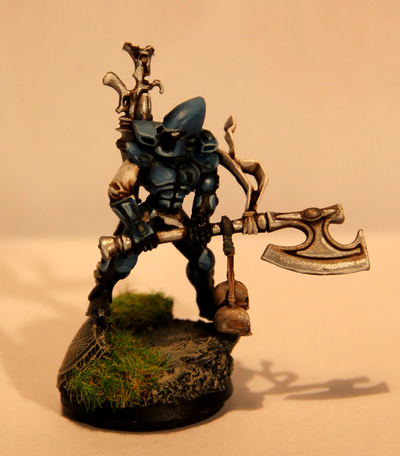 Dark Eldar, Wych, Wych