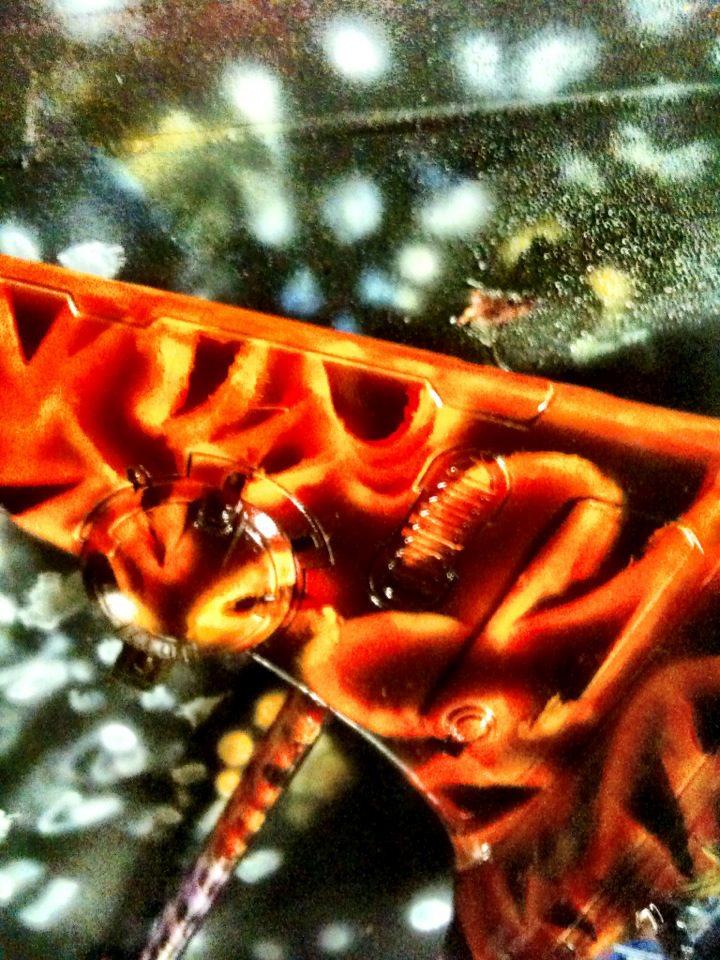 Flyer, Ghost Tint, Tau