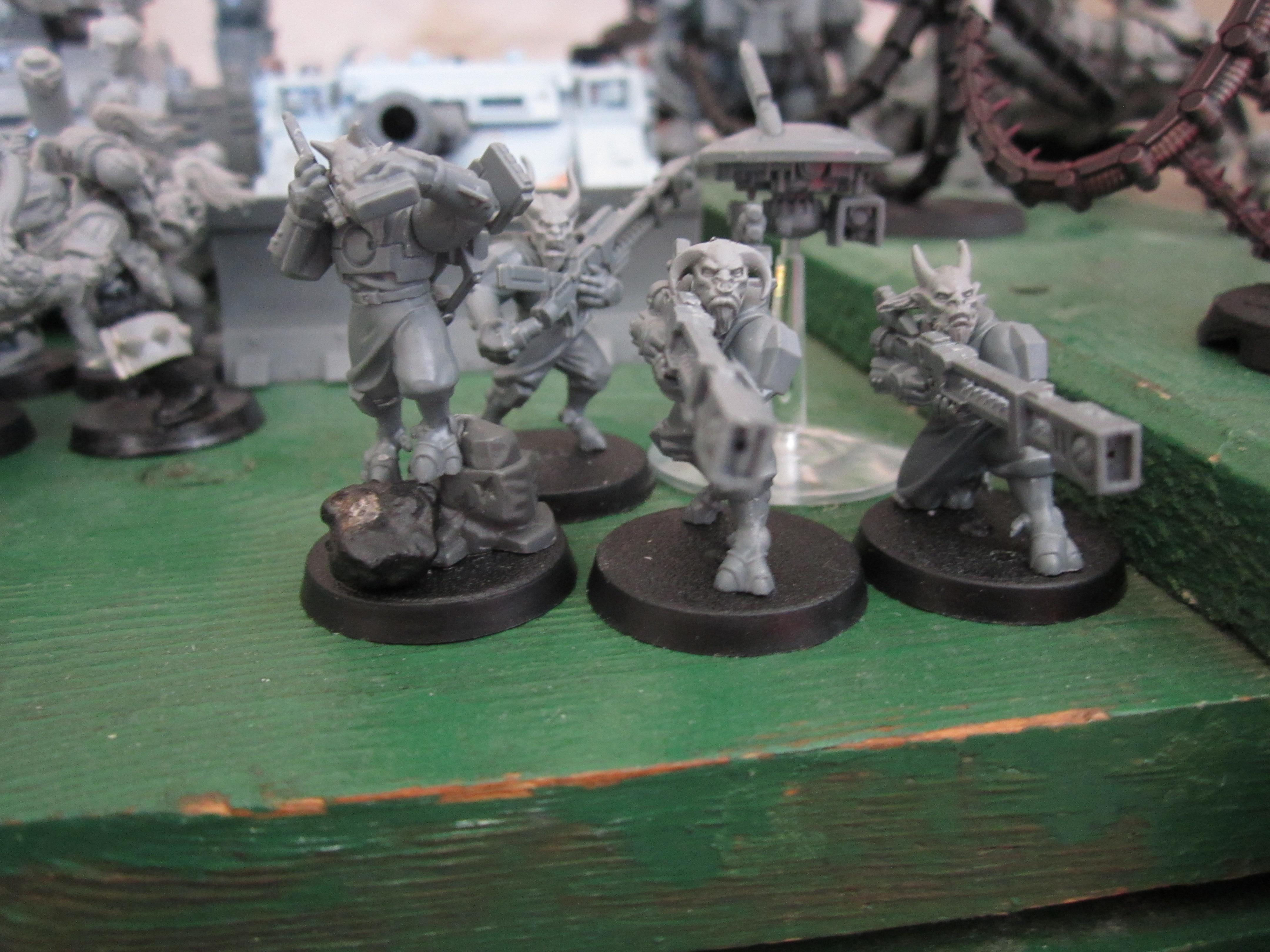 Tau ungors