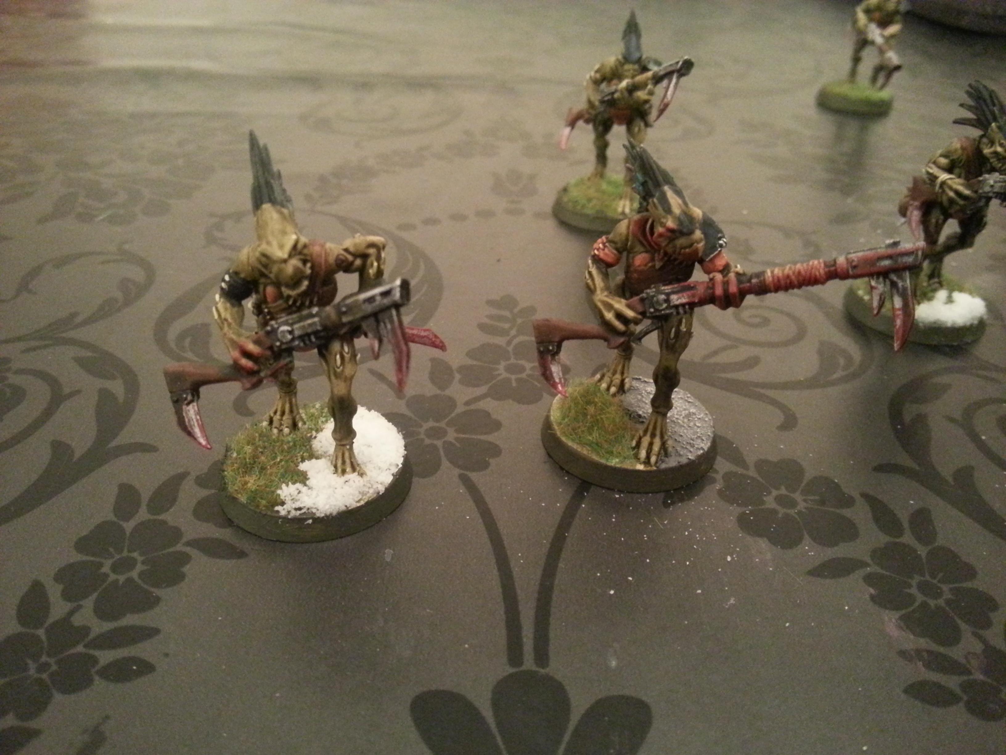 Kroot, kroot