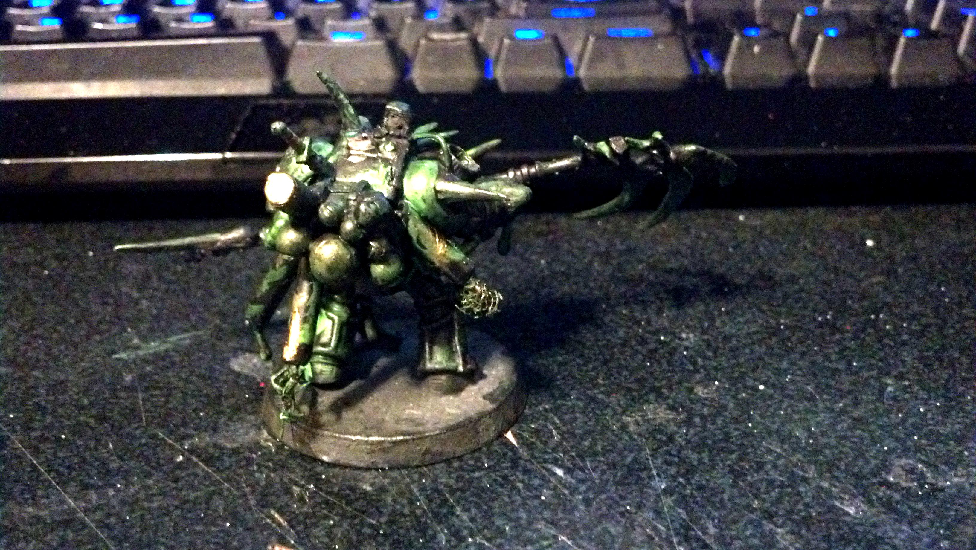 Typhus, Typhus