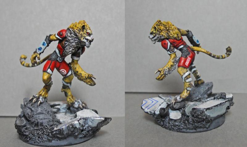 Animal, Infinity, Nomads, Uberfallkommando