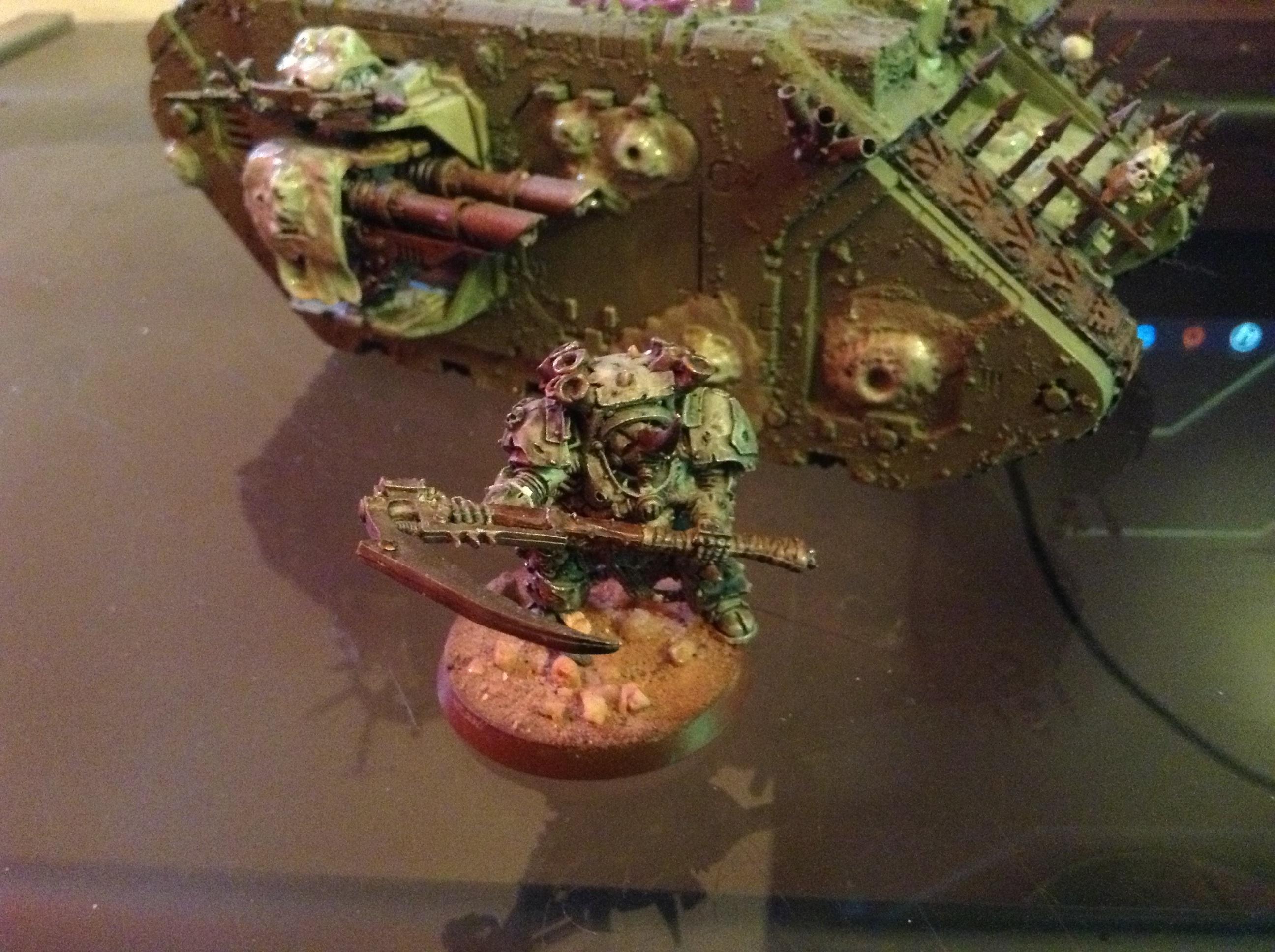 Typhus