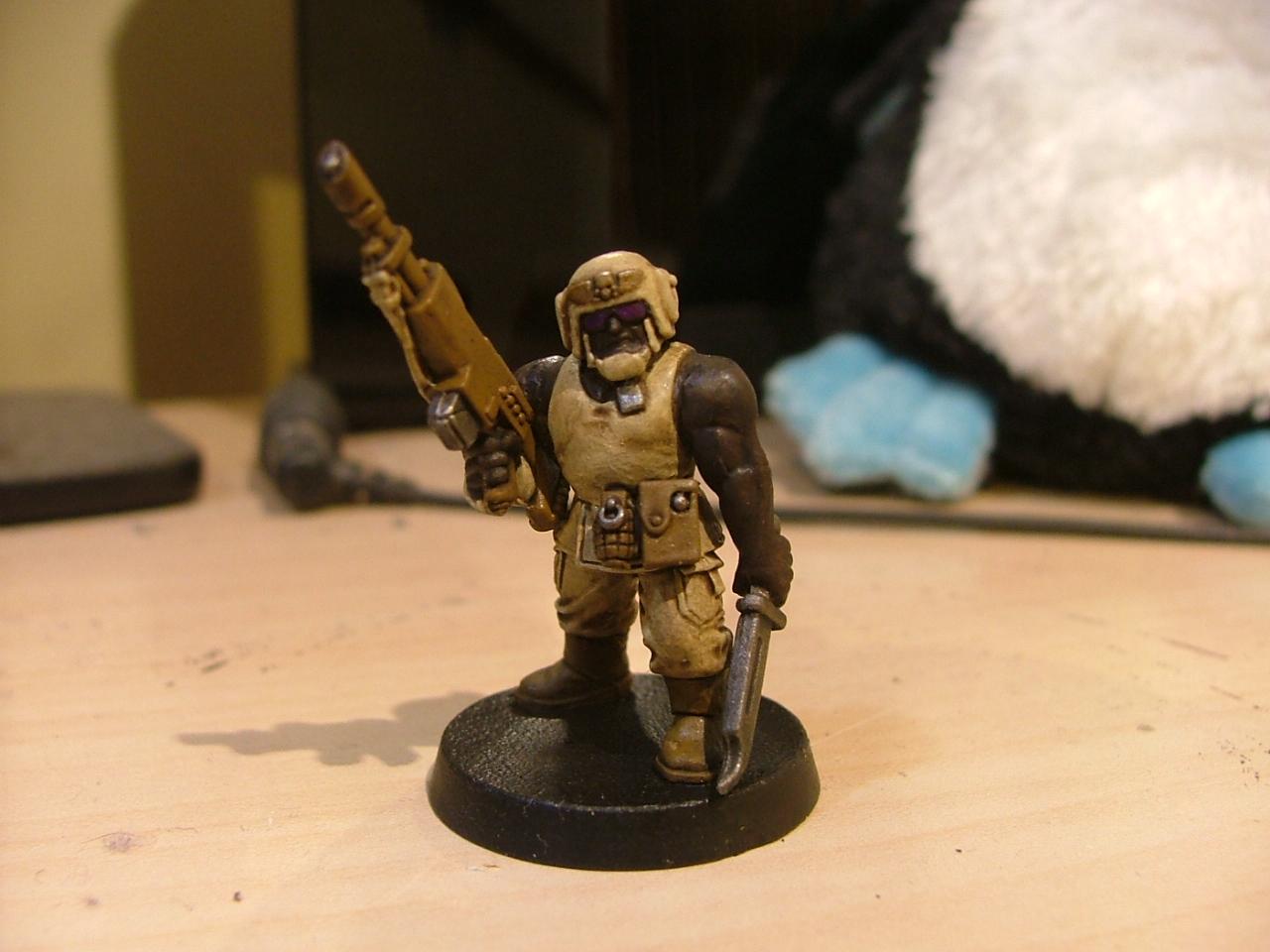 Desert guard test