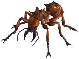 Ant pic